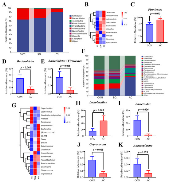 Comparative Study of an Antioxidant Compound and Ethoxyquin