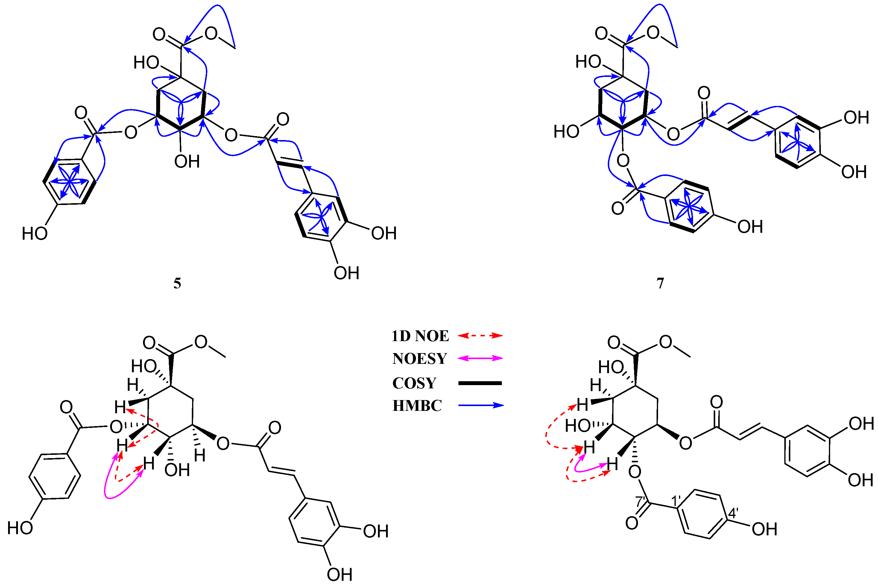 Antioxidants 13 01235 g003
