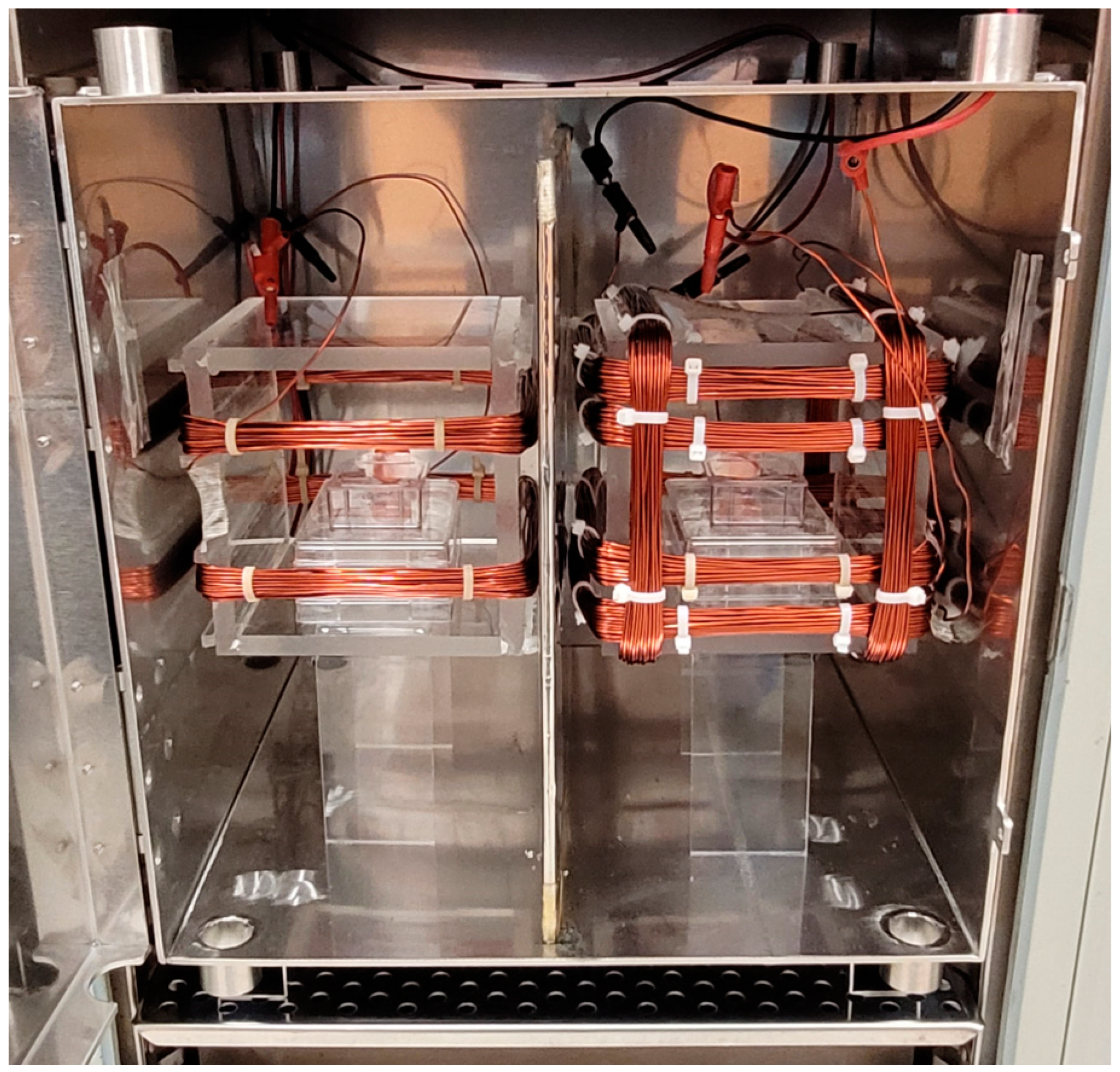 Antioxidants 13 01237 g003