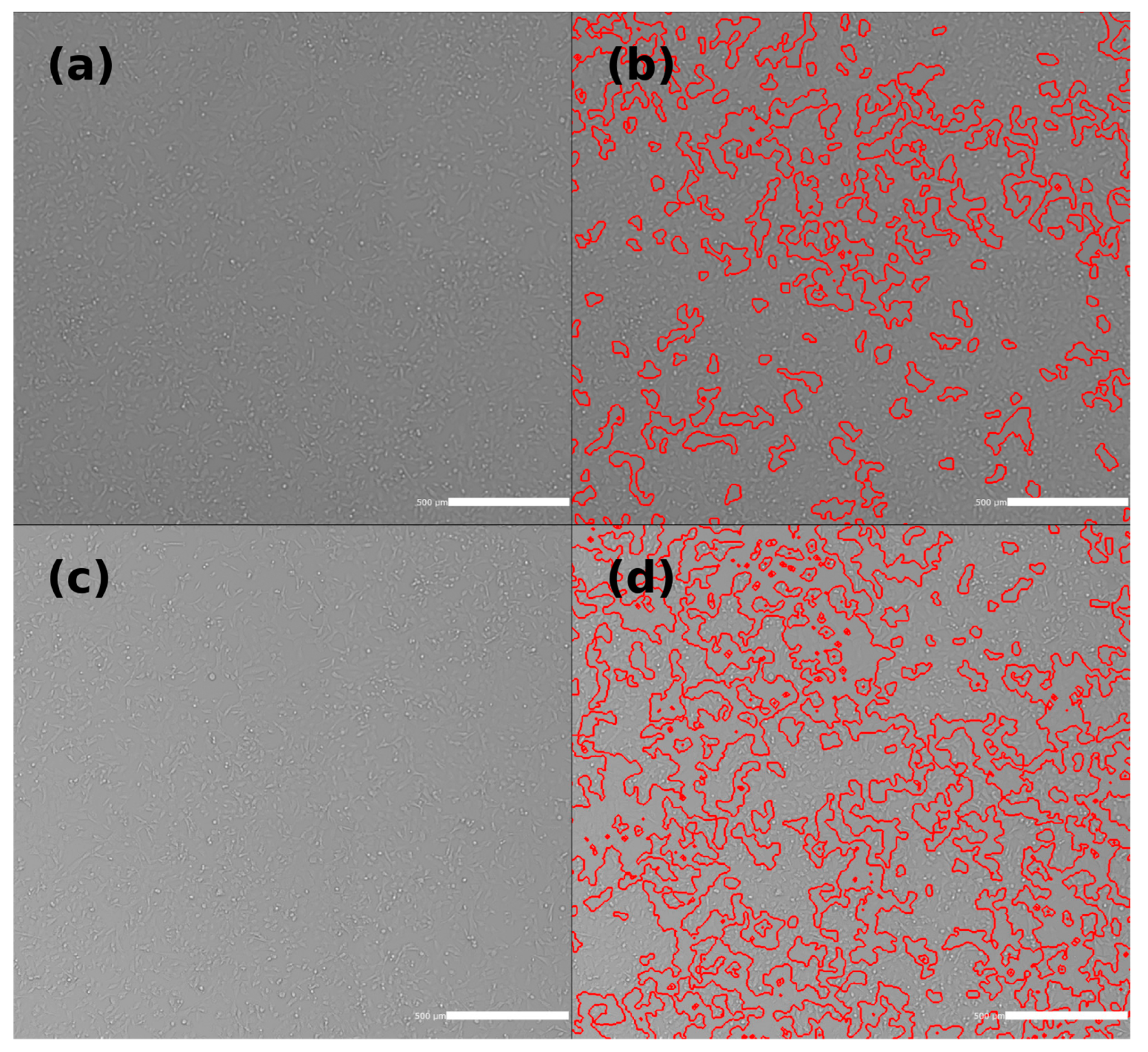 Antioxidants 13 01237 g010