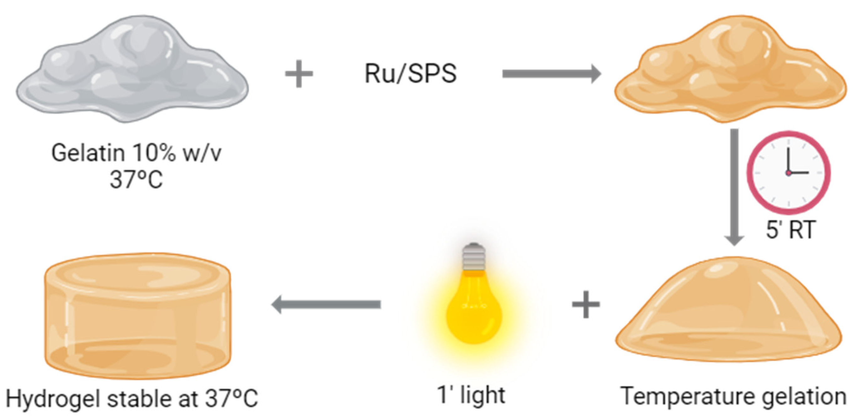 Antioxidants 13 01238 g001