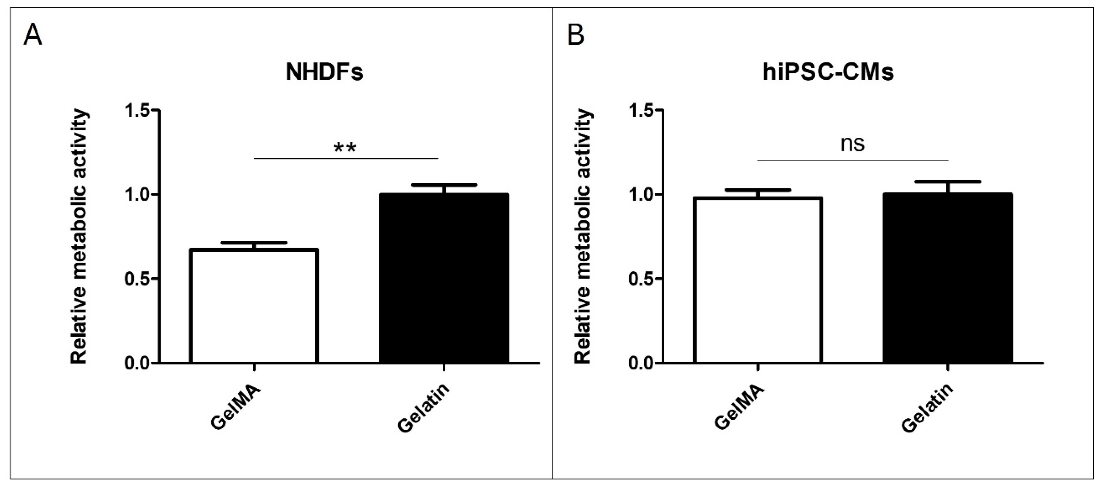 Antioxidants 13 01238 g006