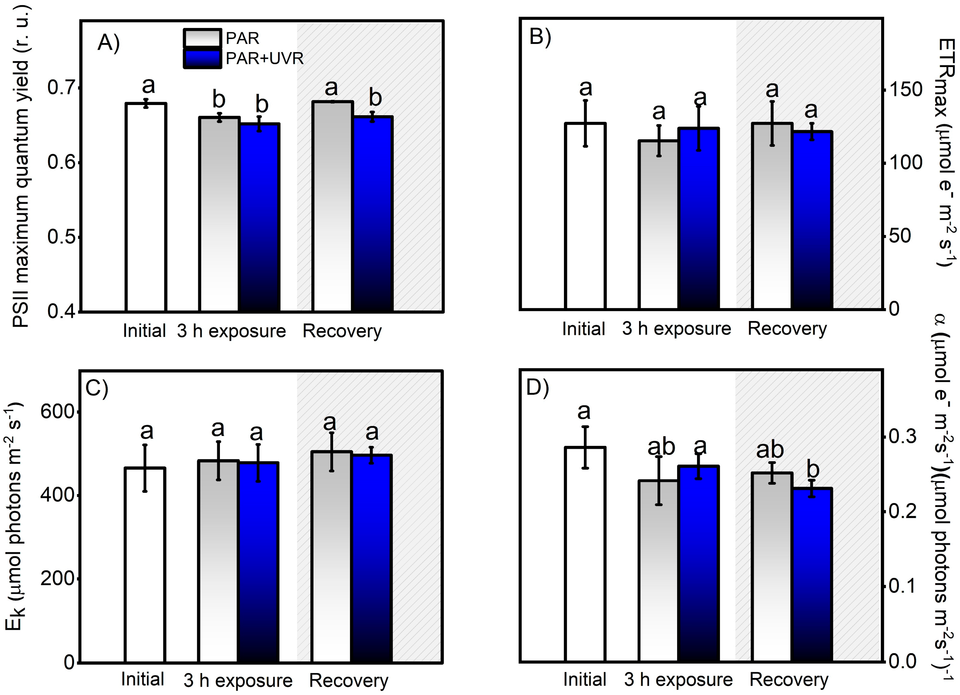 Antioxidants 13 01239 g004 Antioxidants 13 01239 g004