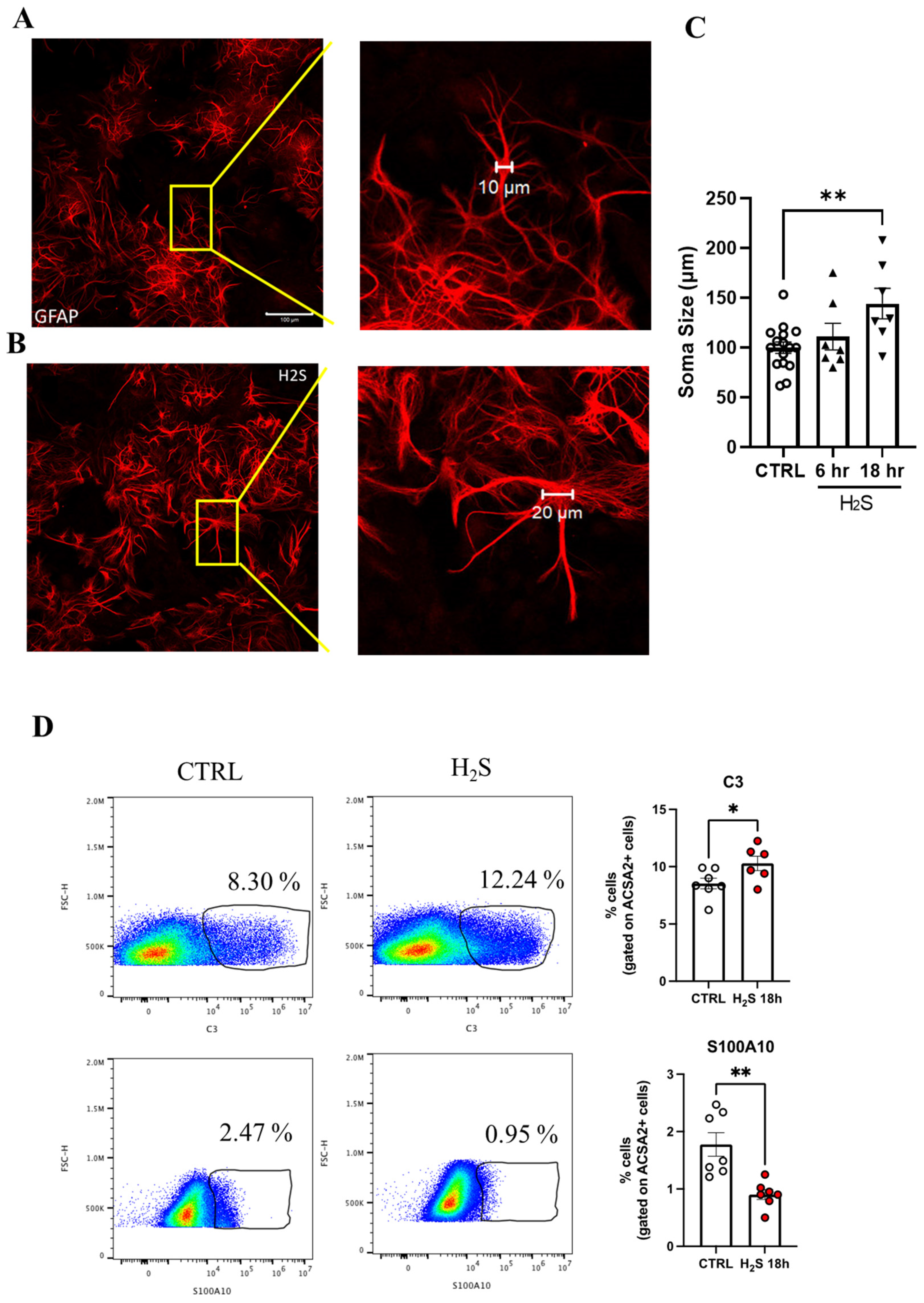 Antioxidants 13 01241 g002