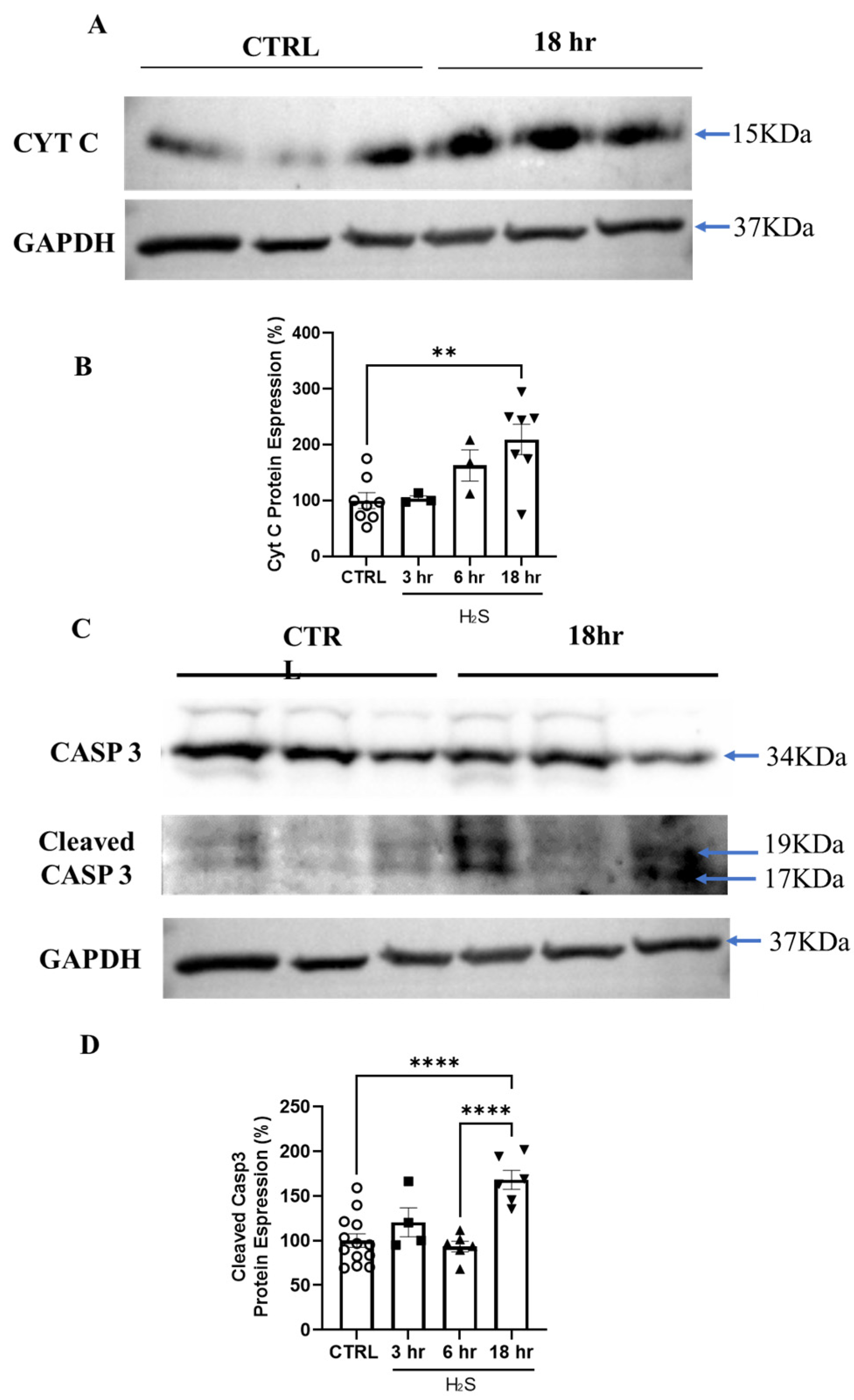 Antioxidants 13 01241 g007