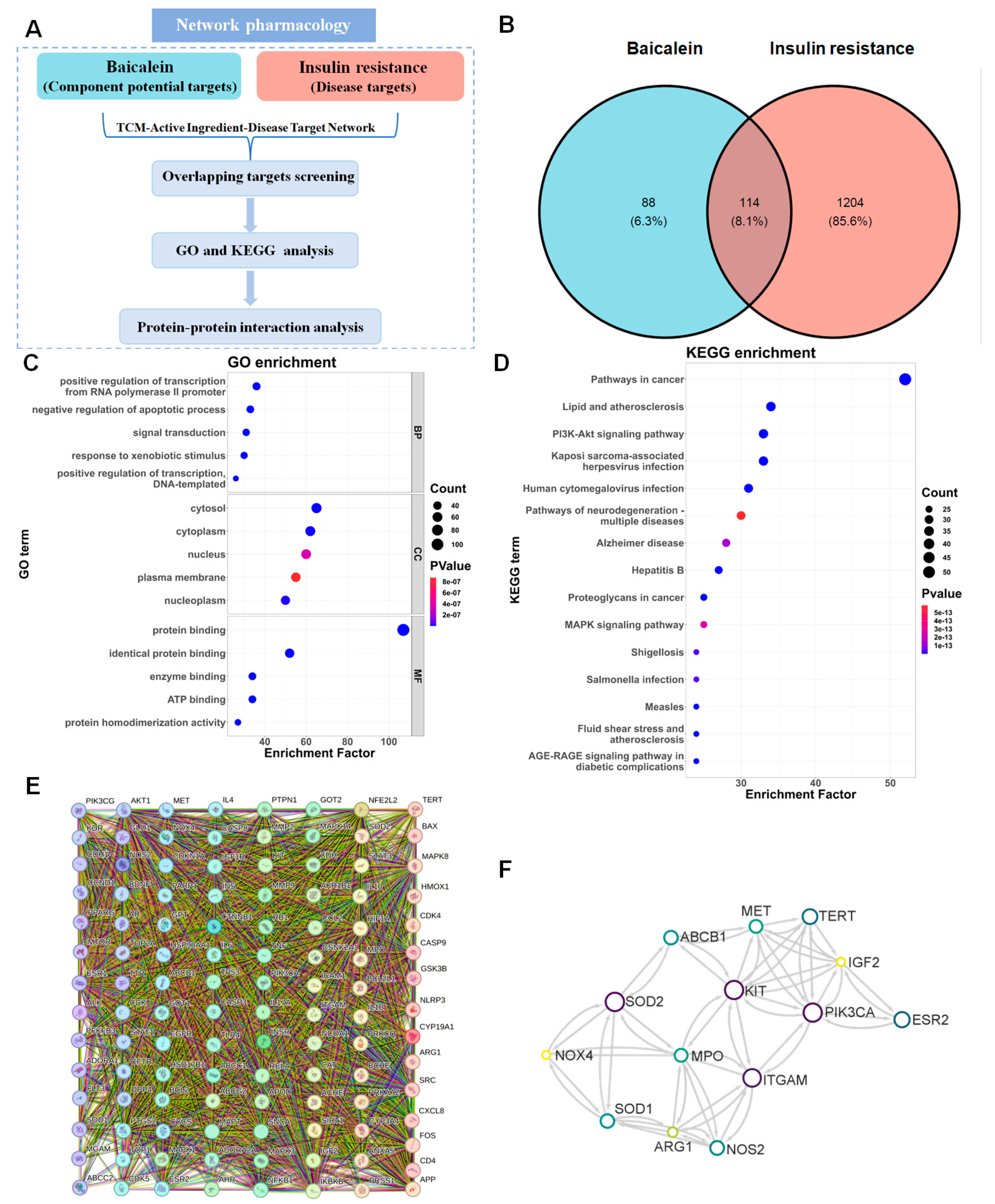 Antioxidants 13 01246 g002