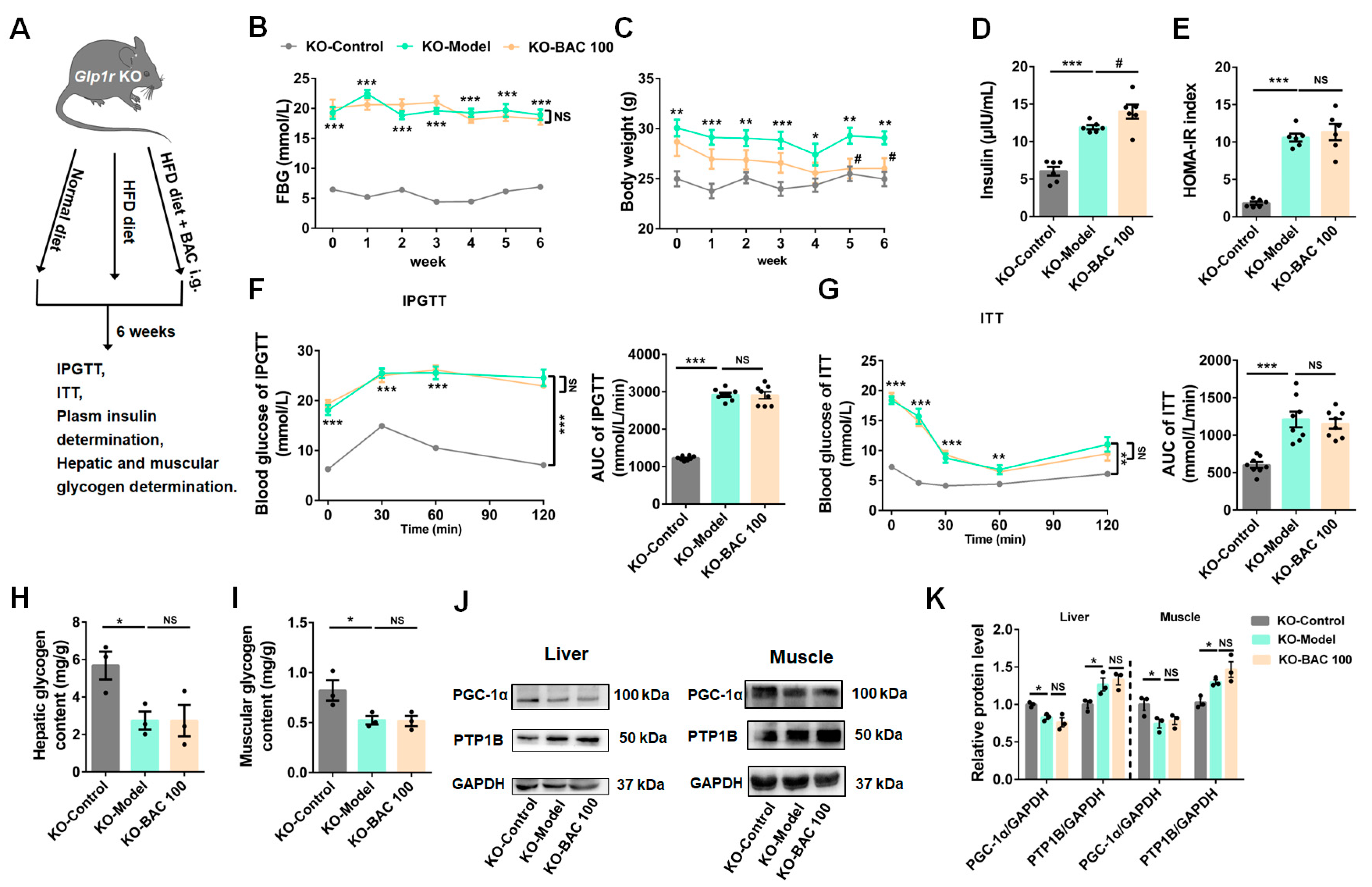 Antioxidants 13 01246 g004