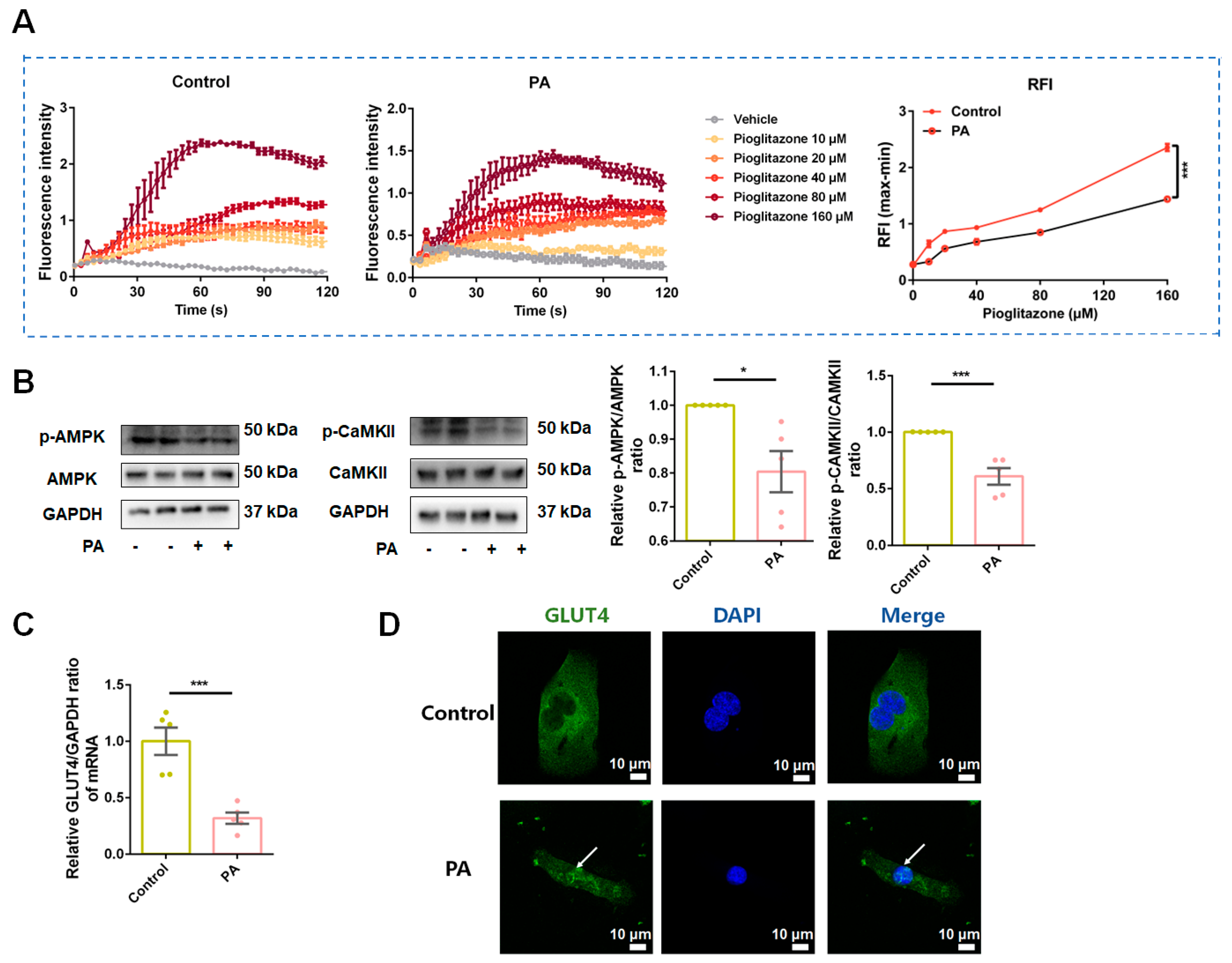 Antioxidants 13 01246 g009