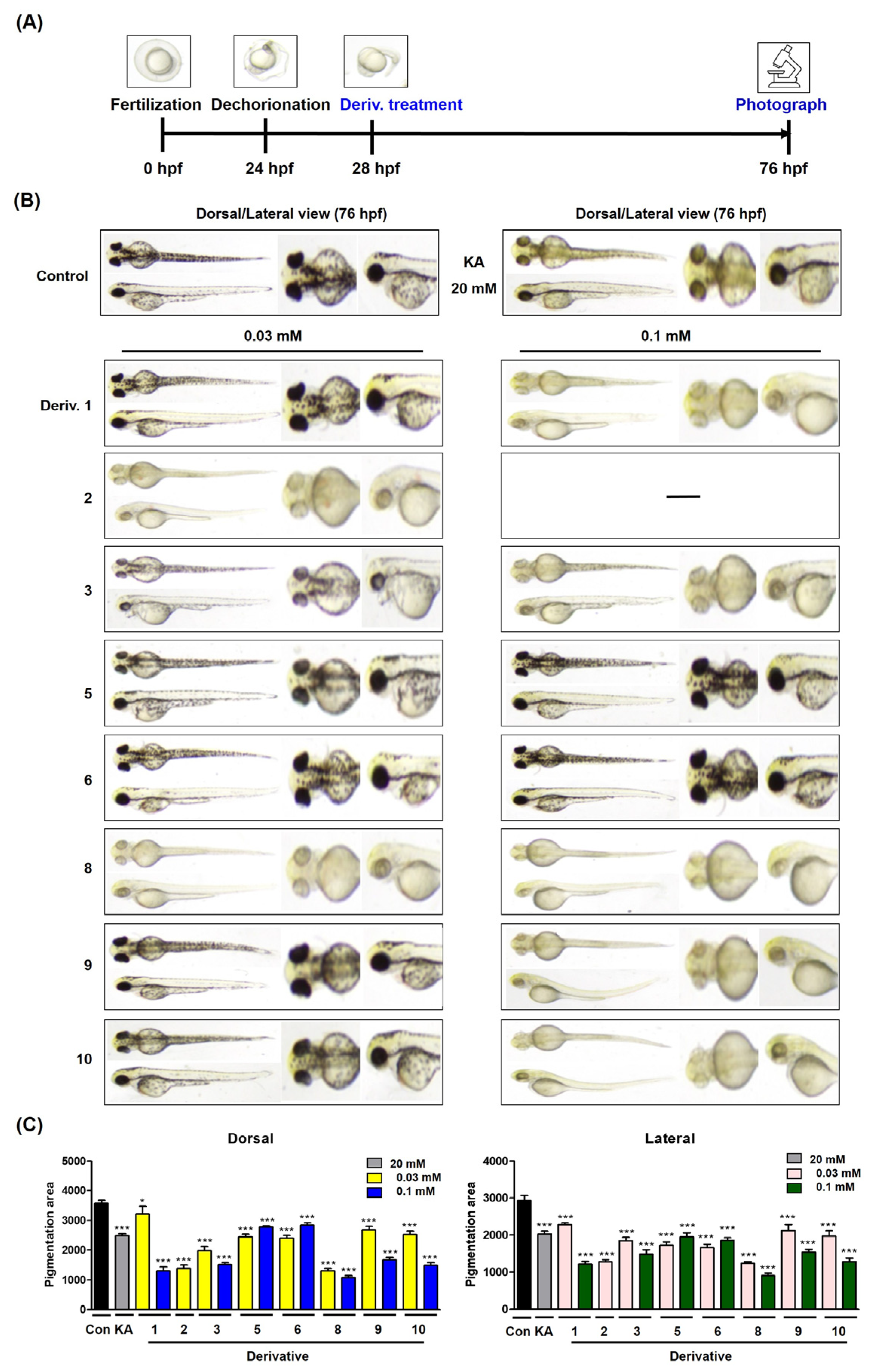 Antioxidants 13 01248 g014