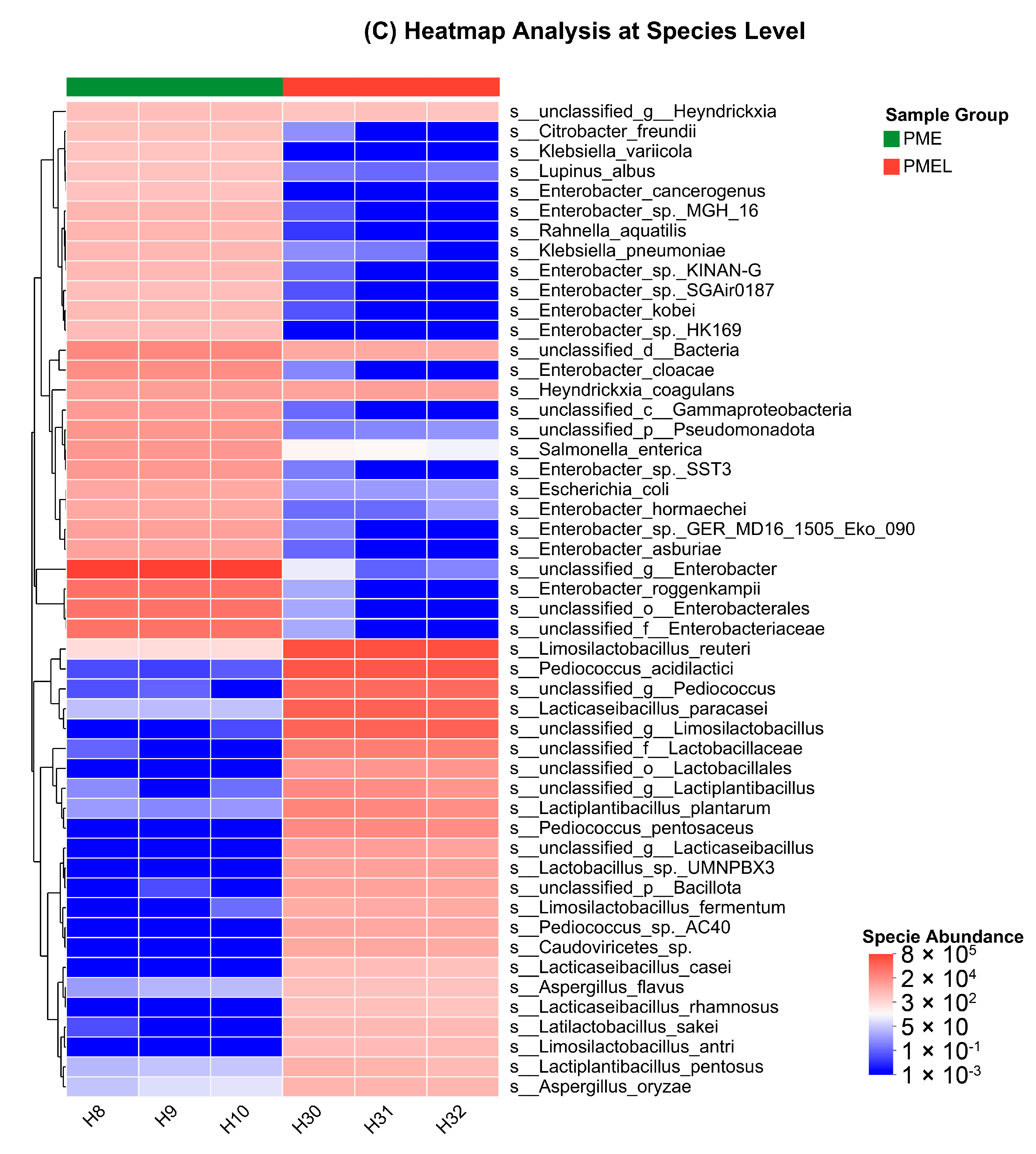 Antioxidants 13 01253 g006c