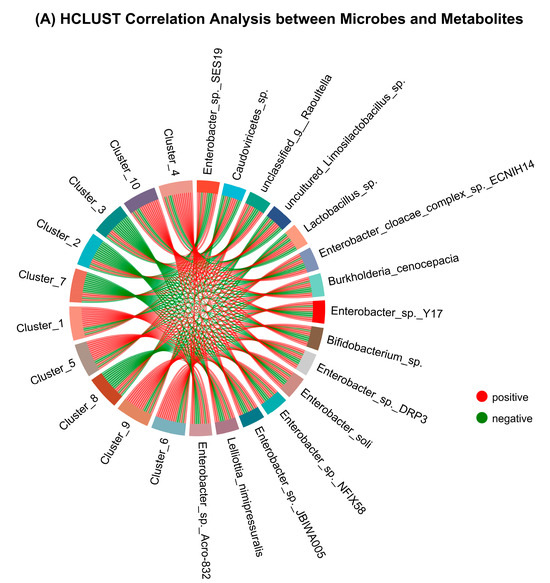 mimi Metabolome and Metagenome Integration Unveiled Synthesis