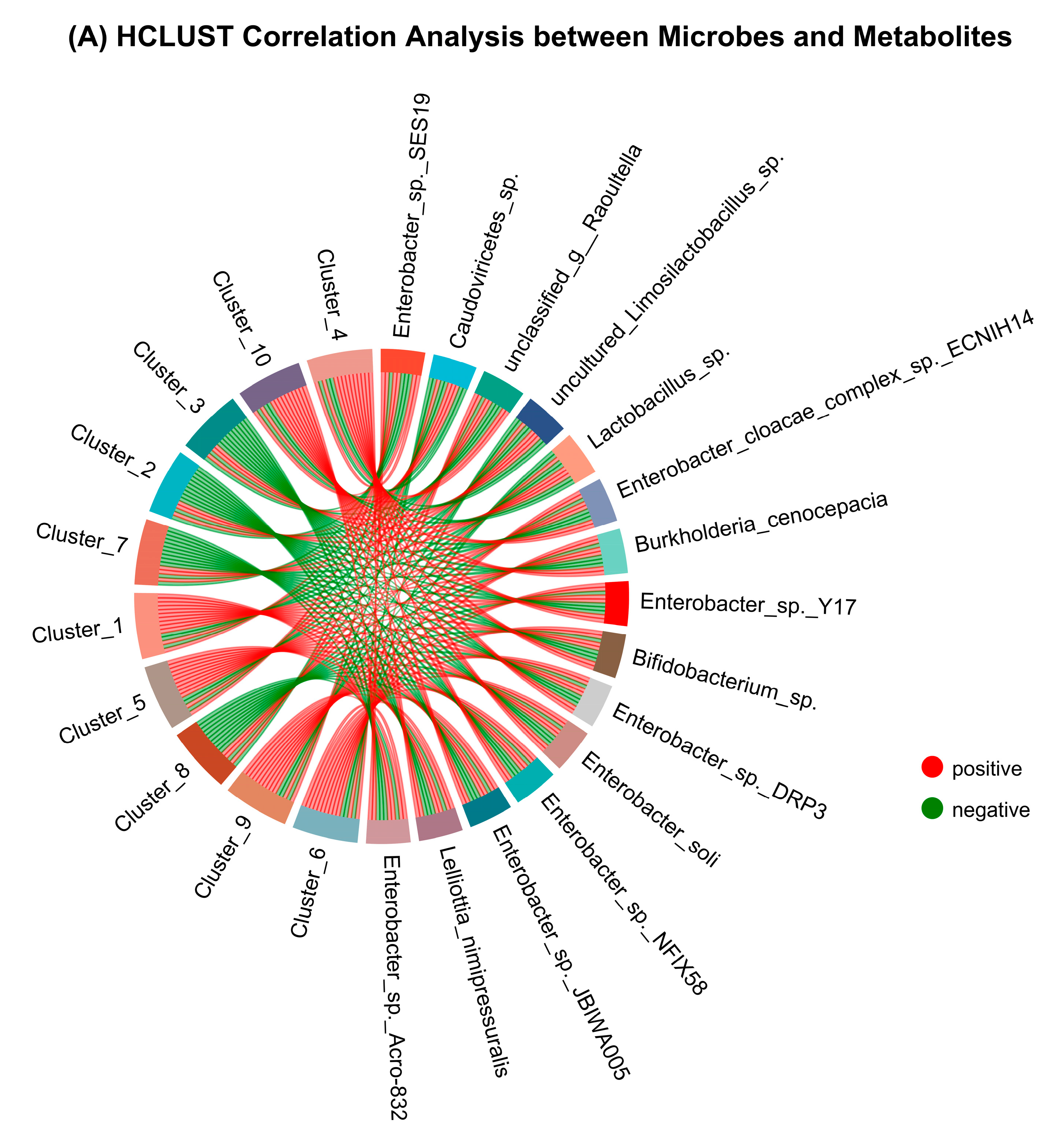 Antioxidants 13 01253 g008a