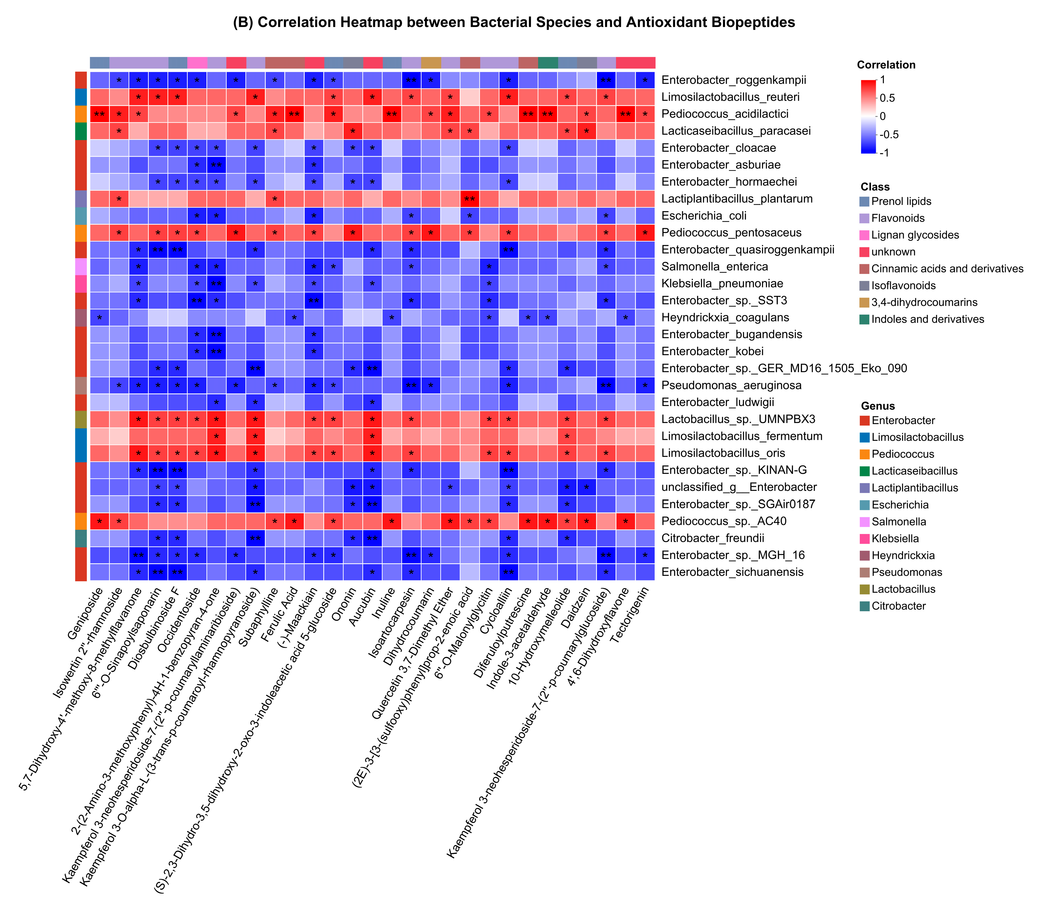 Antioxidants 13 01253 g008b
