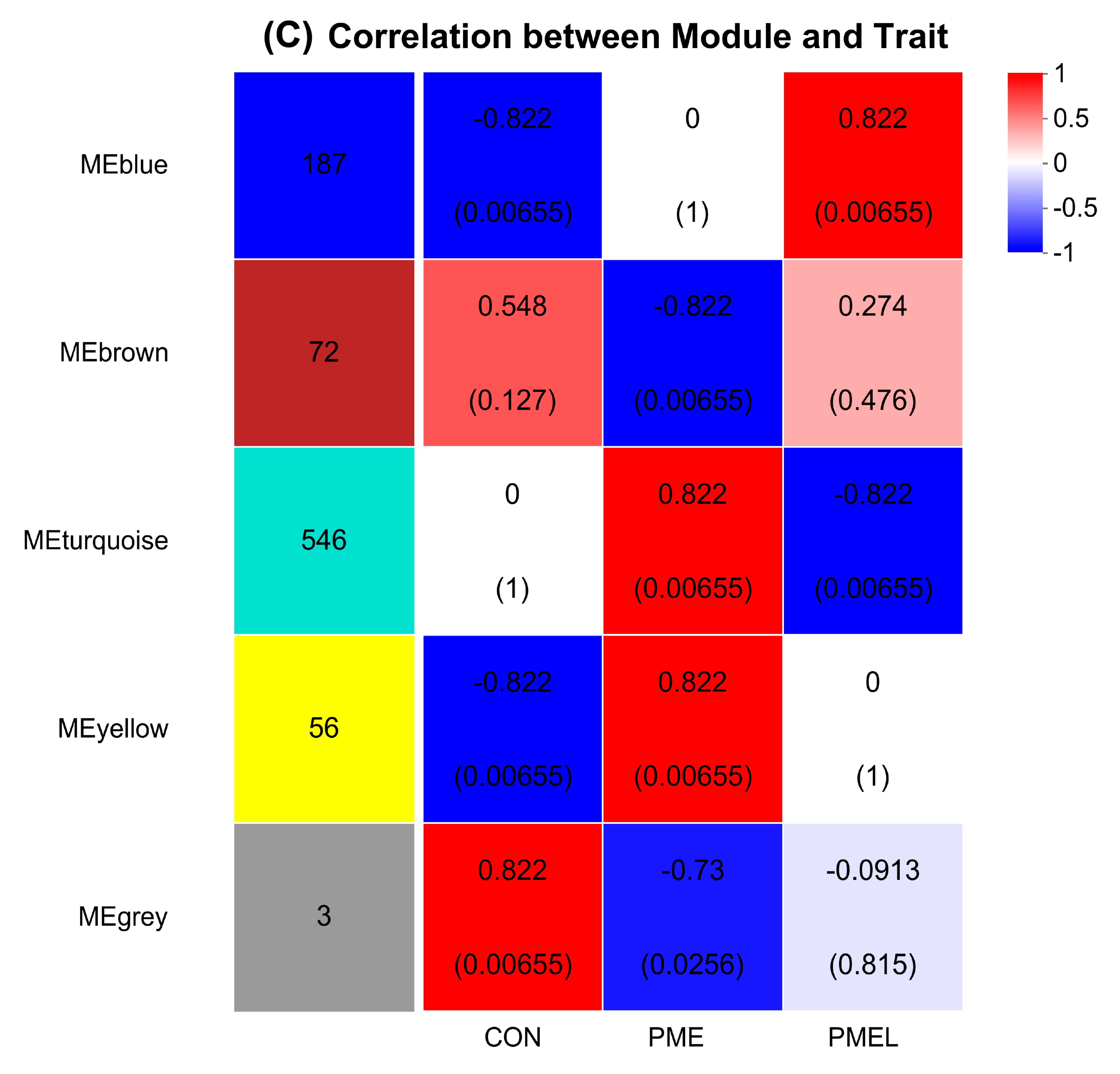 Antioxidants 13 01253 g008c