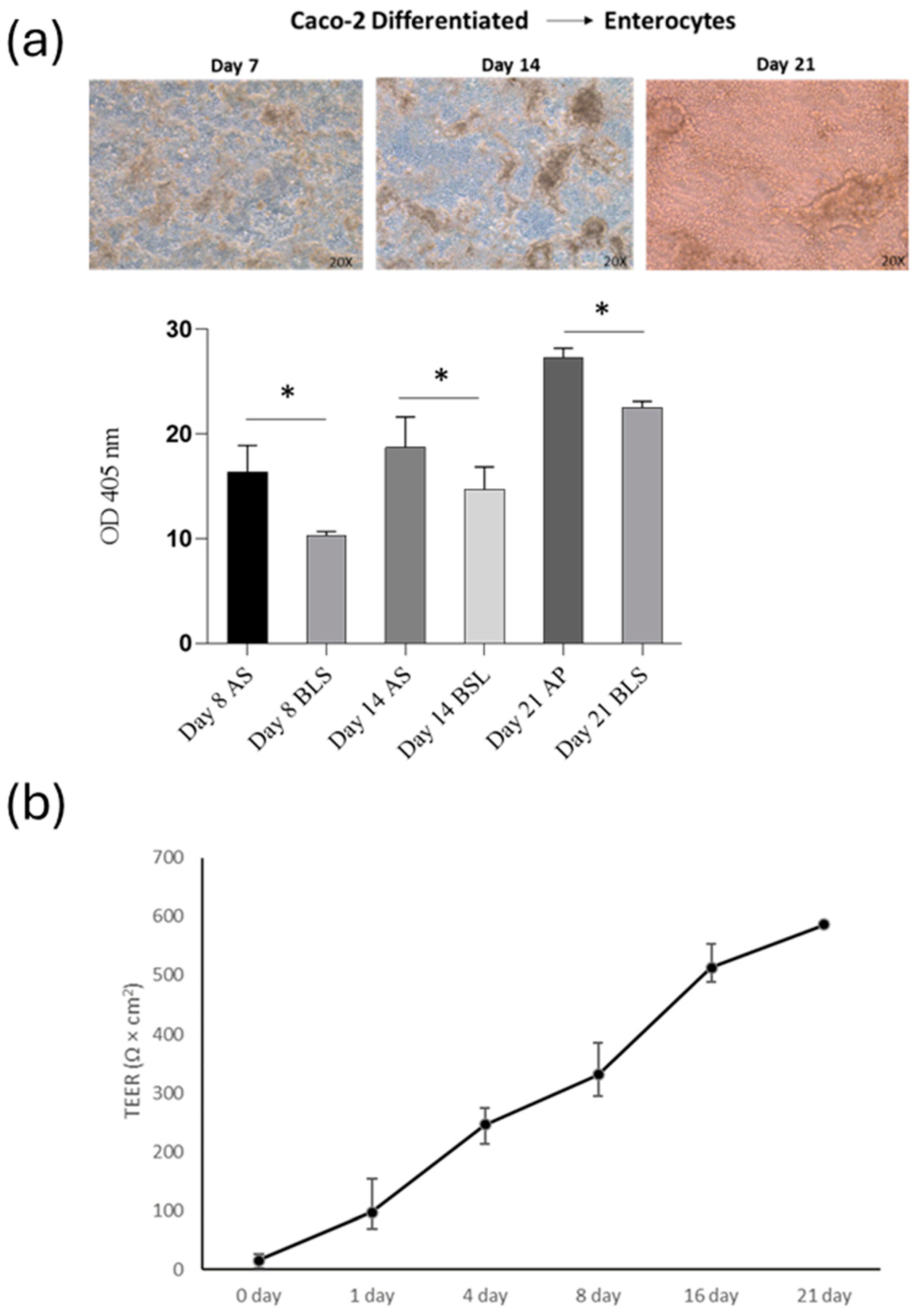 Antioxidants 13 01257 g005