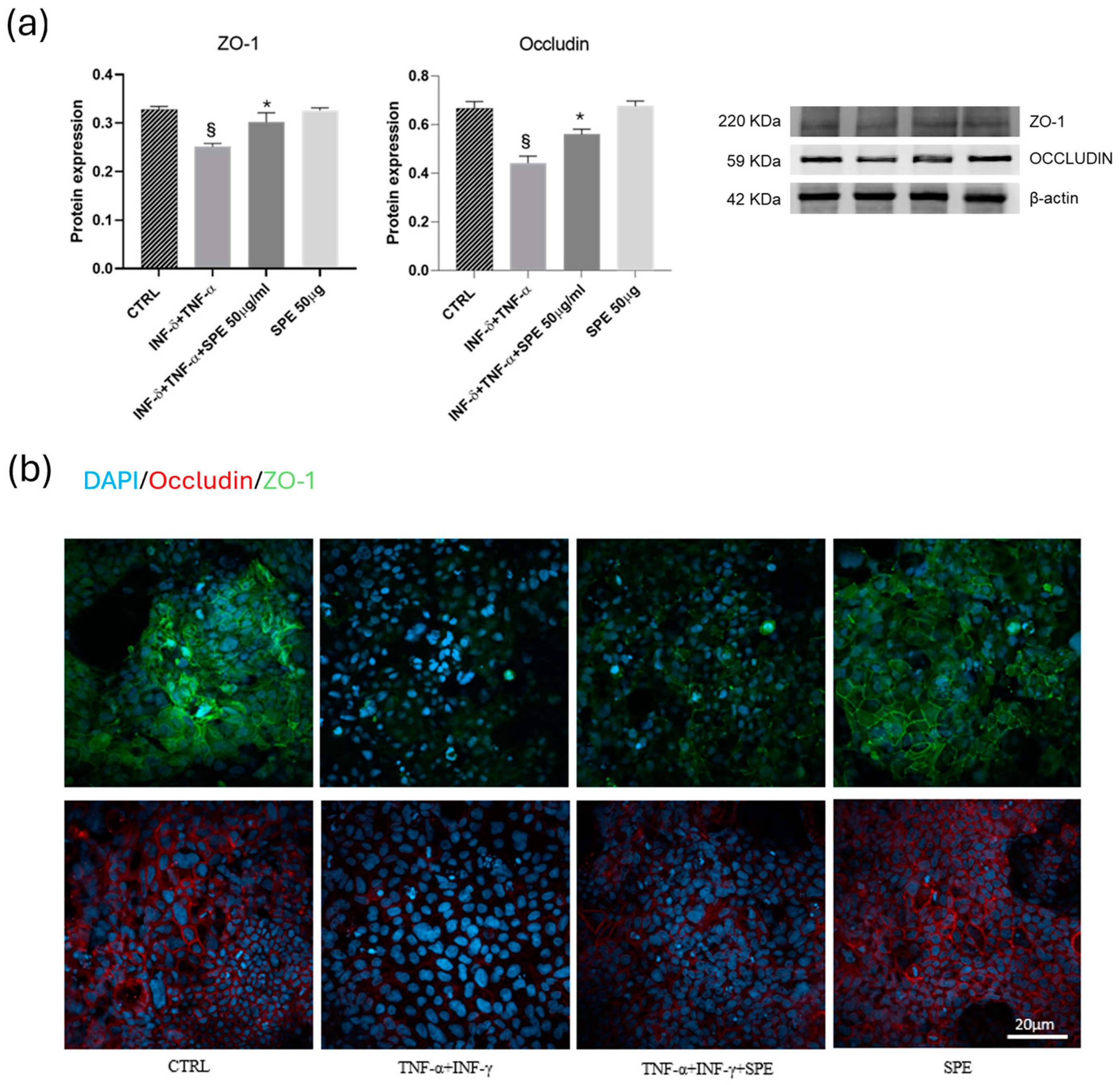 Antioxidants 13 01257 g006