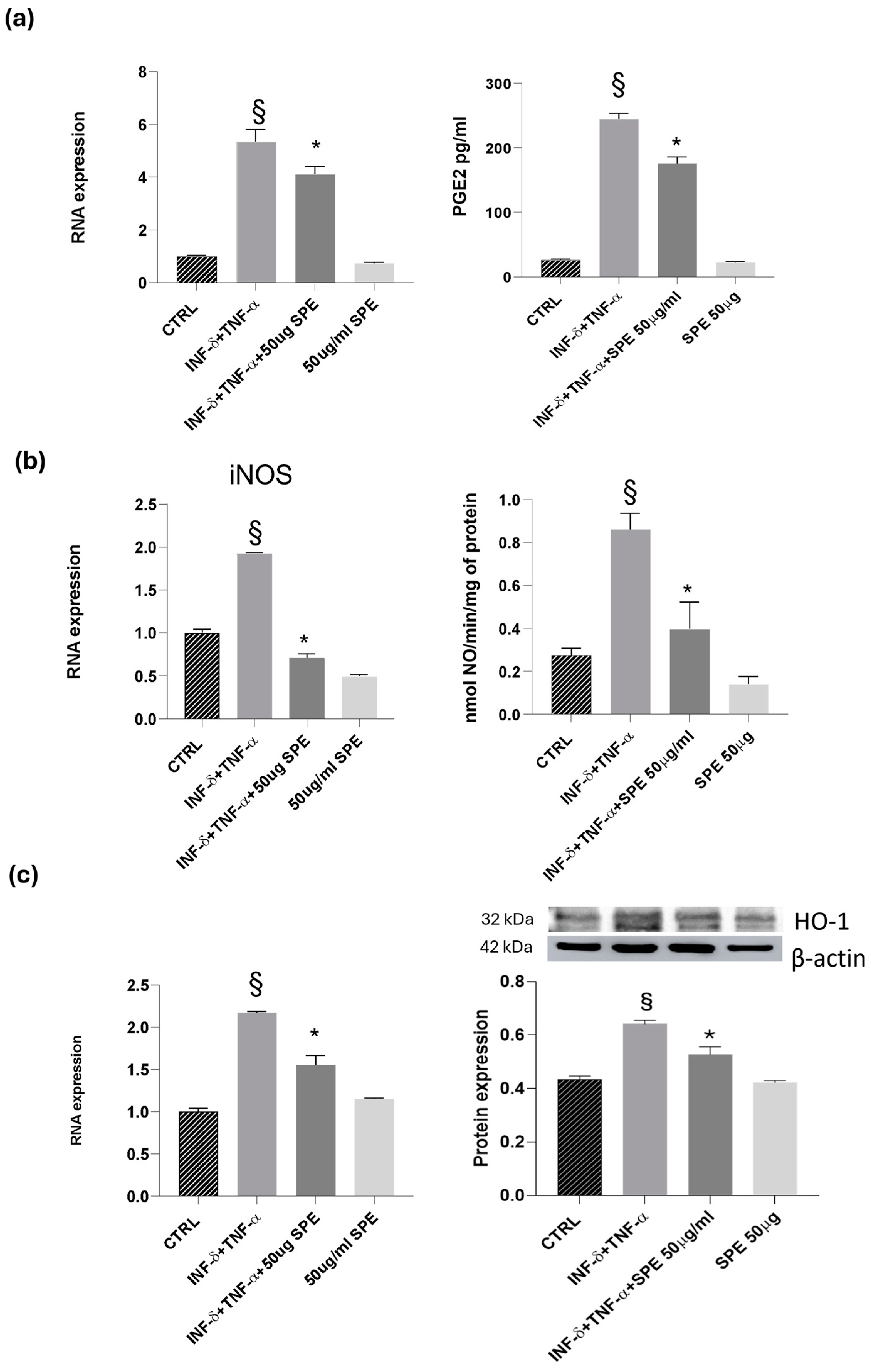Antioxidants 13 01257 g008