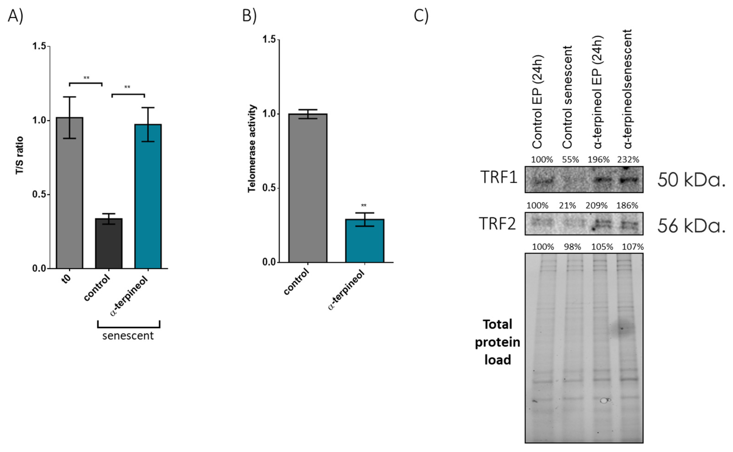 Antioxidants 13 01258 g002