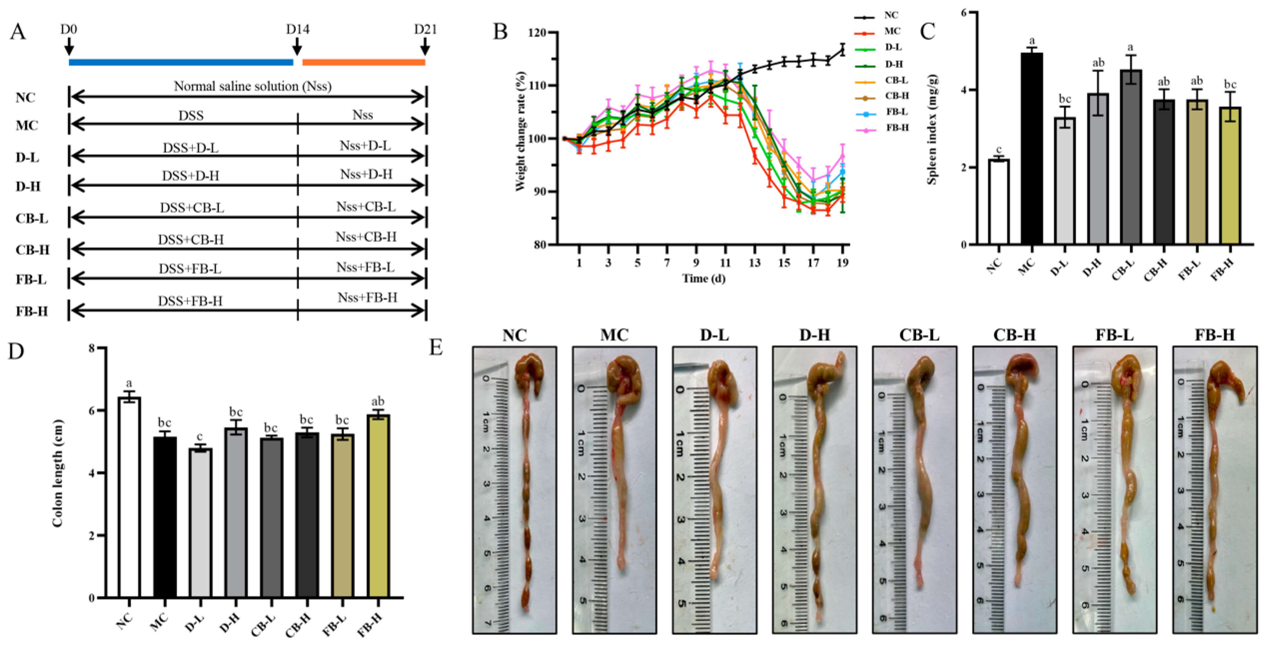 Antioxidants 13 01259 g004