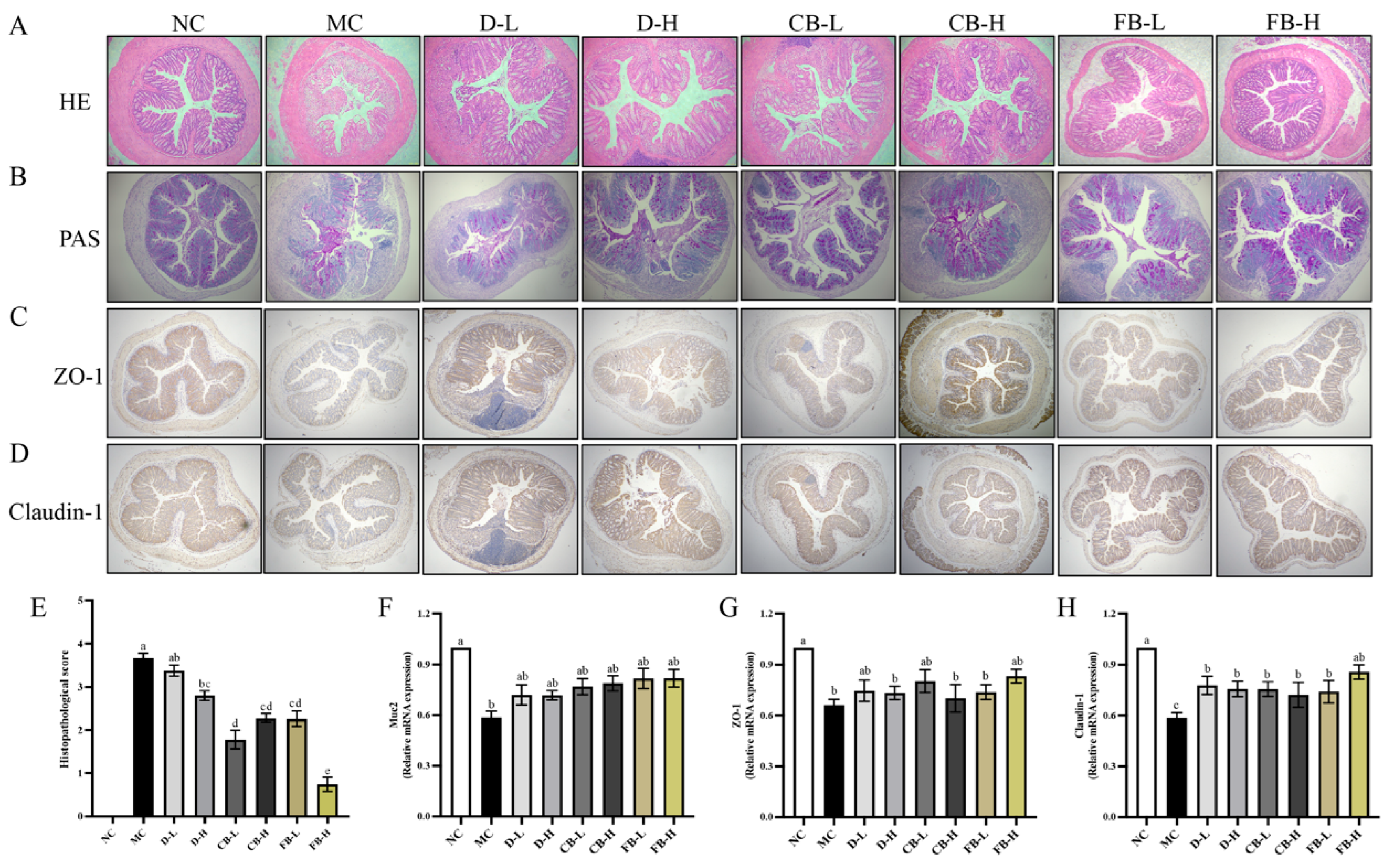 Antioxidants 13 01259 g006