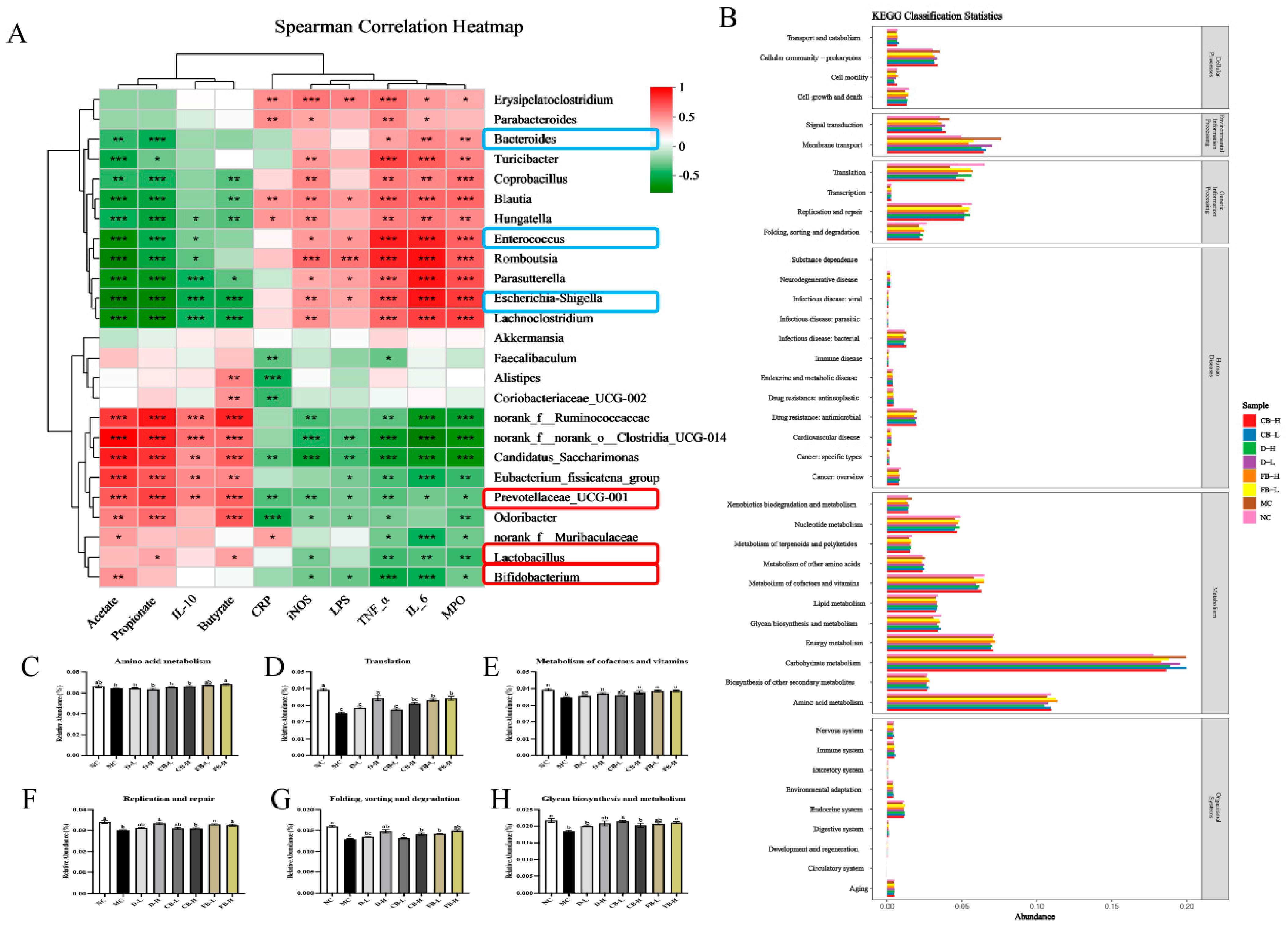 Antioxidants 13 01259 g008
