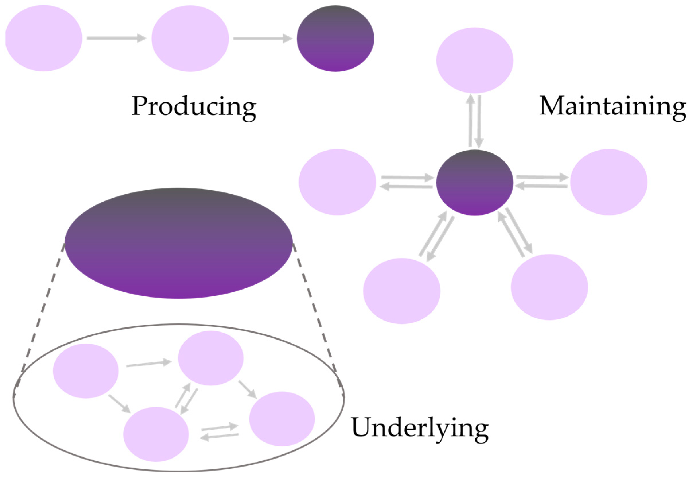 Antioxidants 13 01264 g002