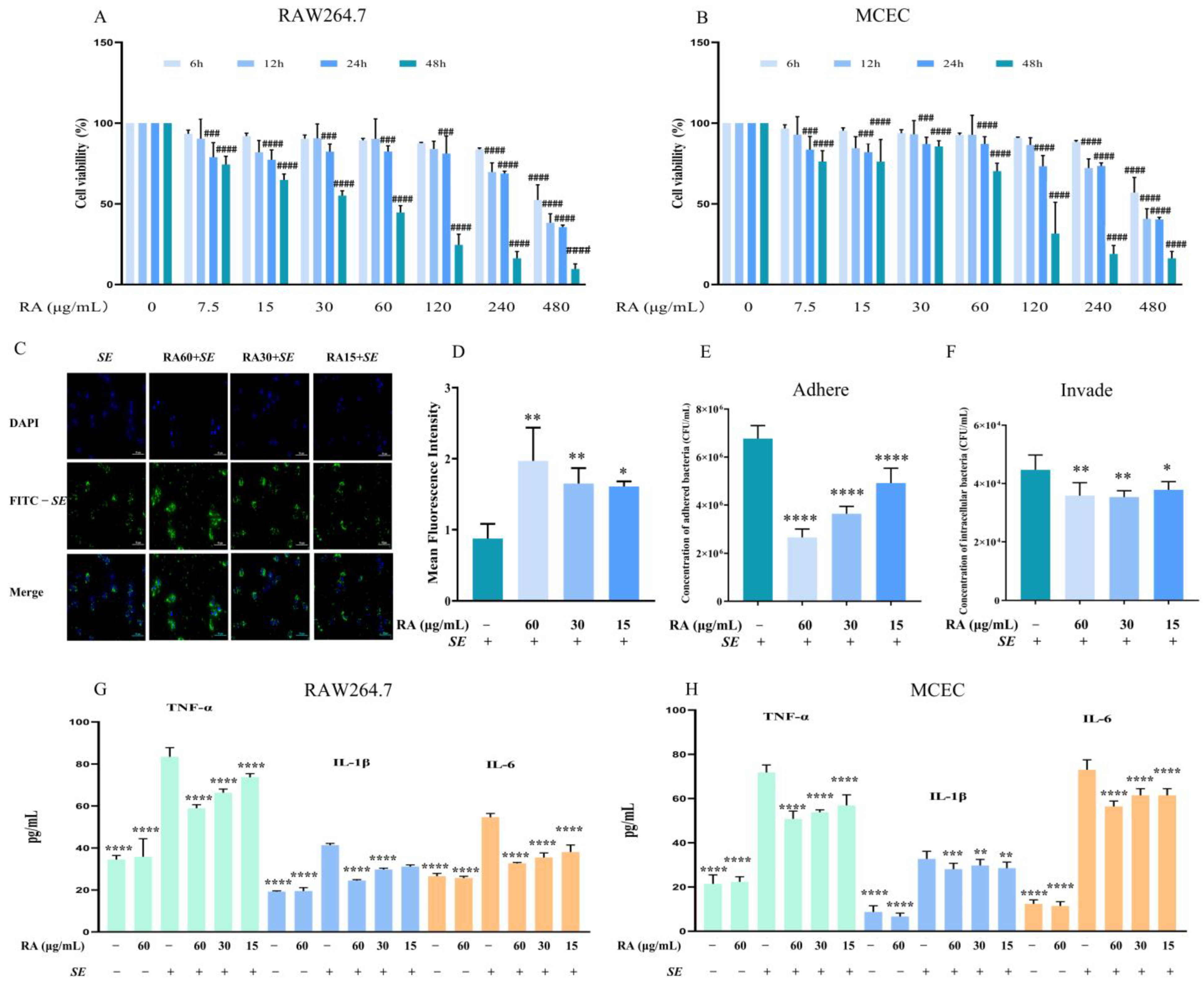 Antioxidants 13 01265 g001