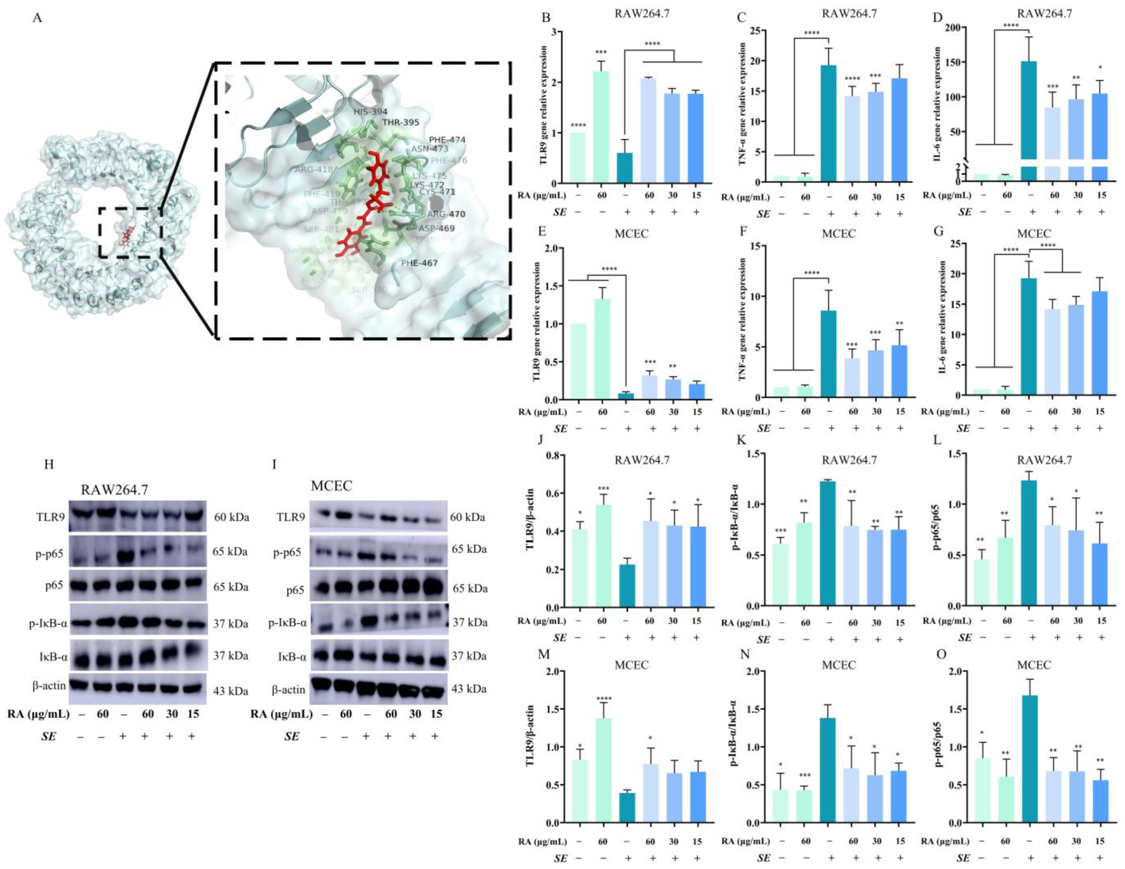 Antioxidants 13 01265 g002