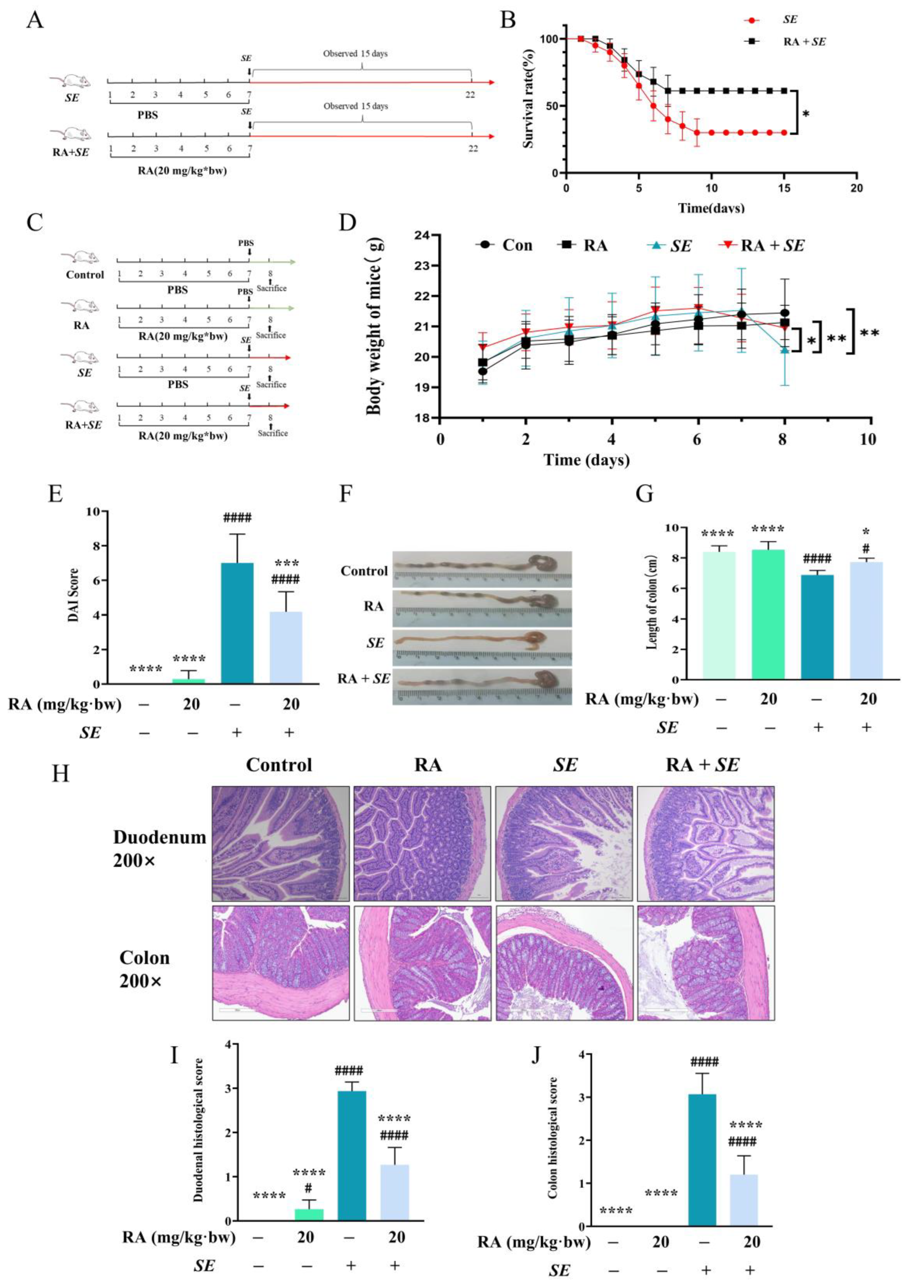 Antioxidants 13 01265 g004