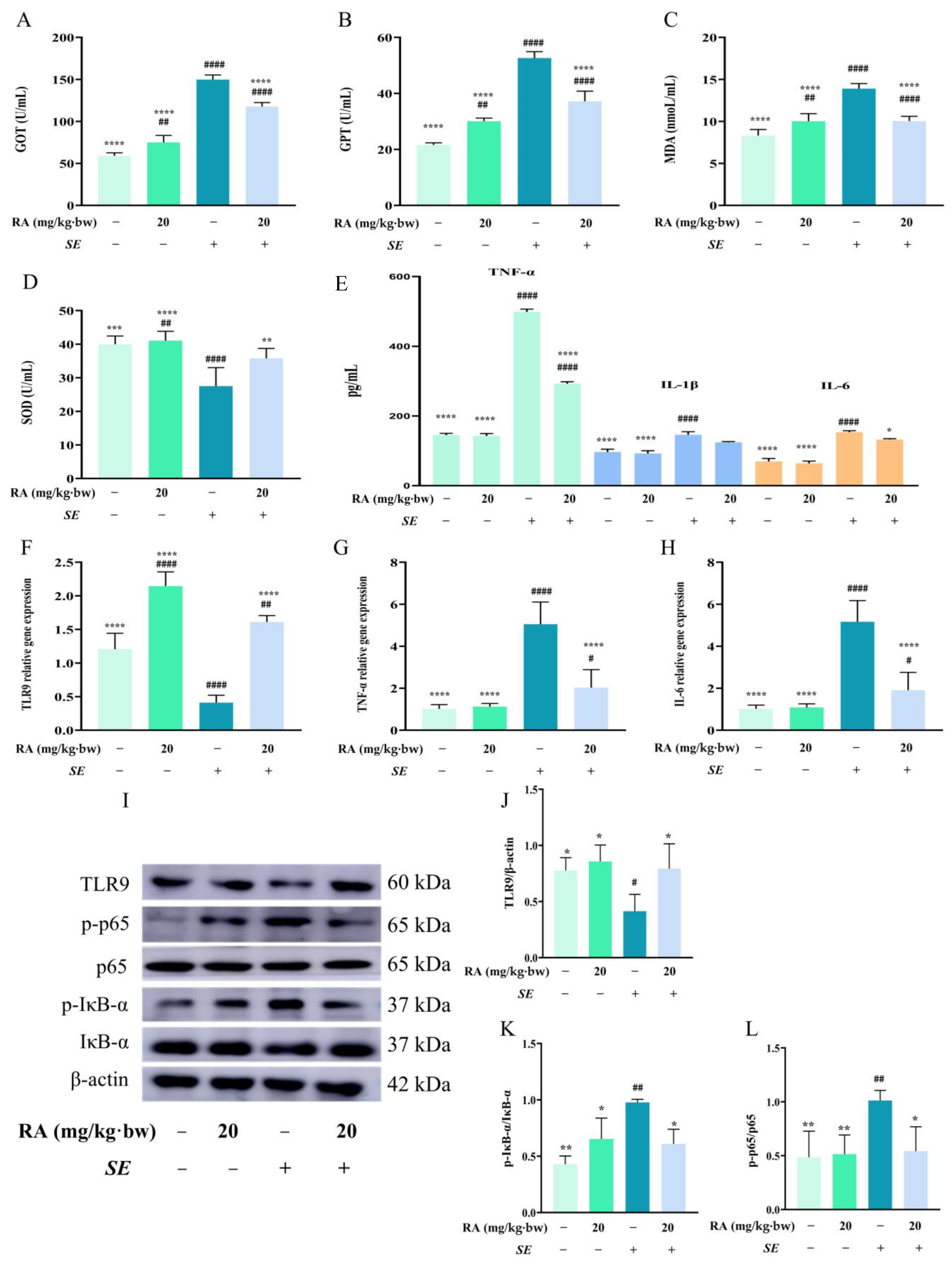 Antioxidants 13 01265 g005