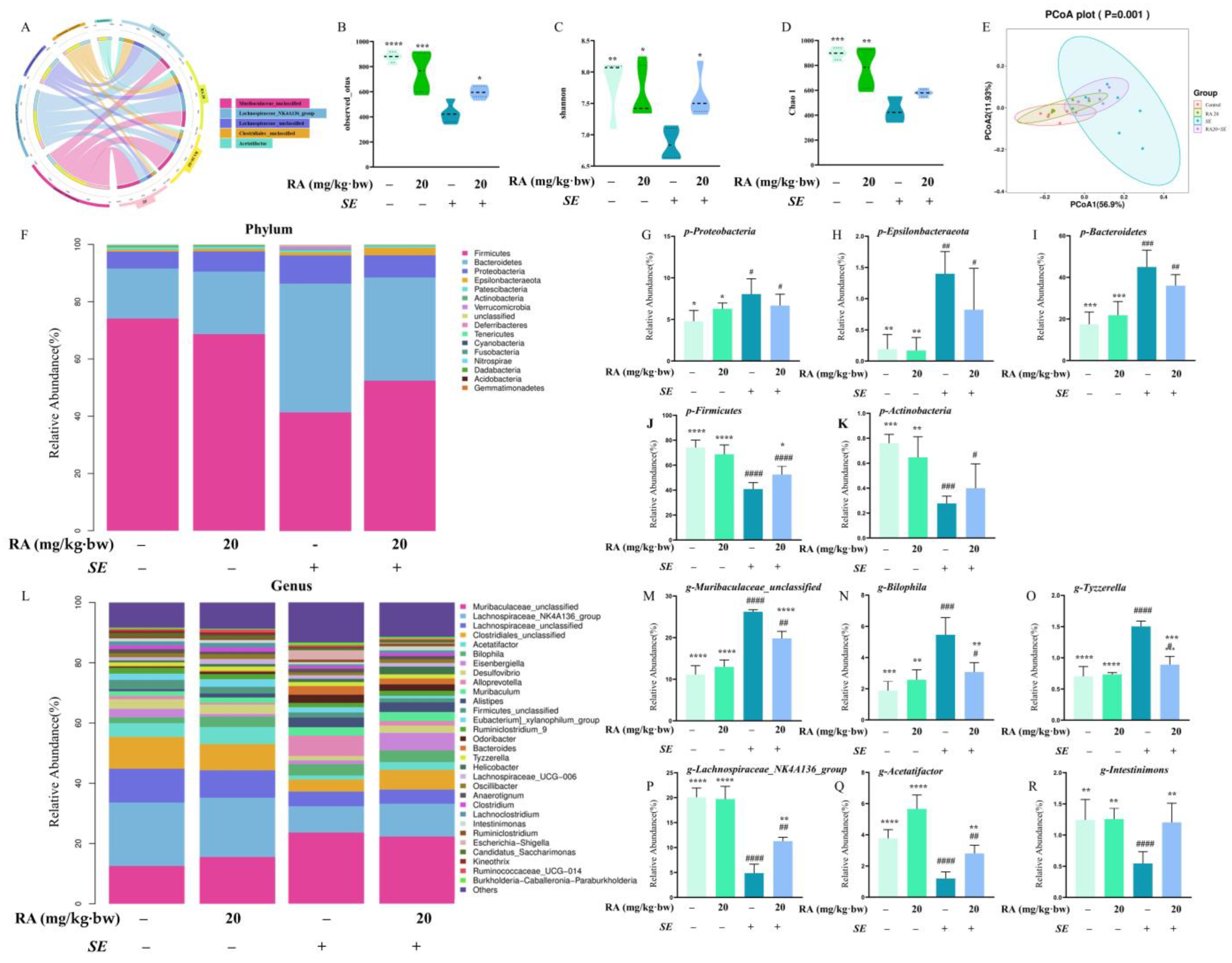 Antioxidants 13 01265 g006