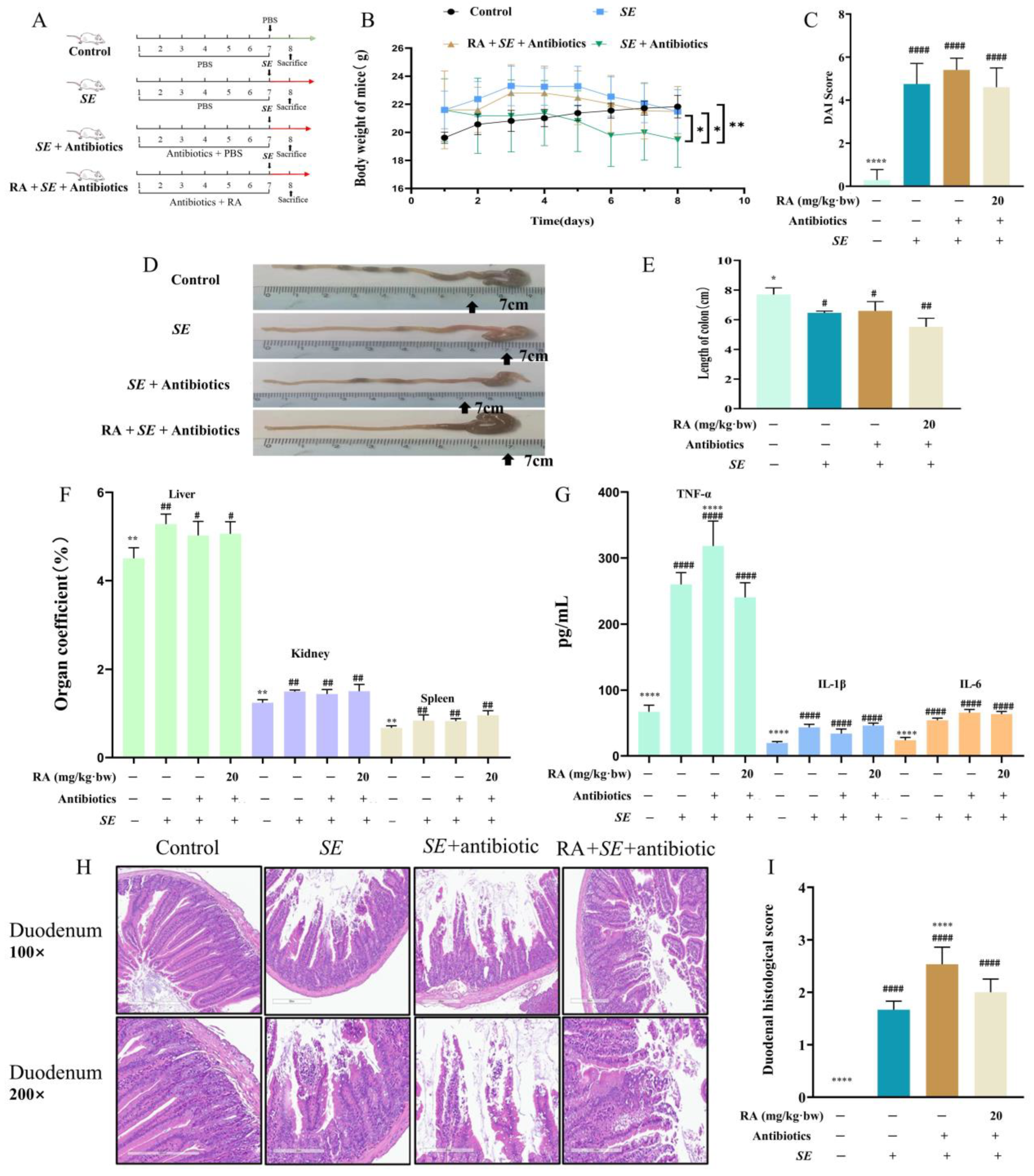 Antioxidants 13 01265 g007