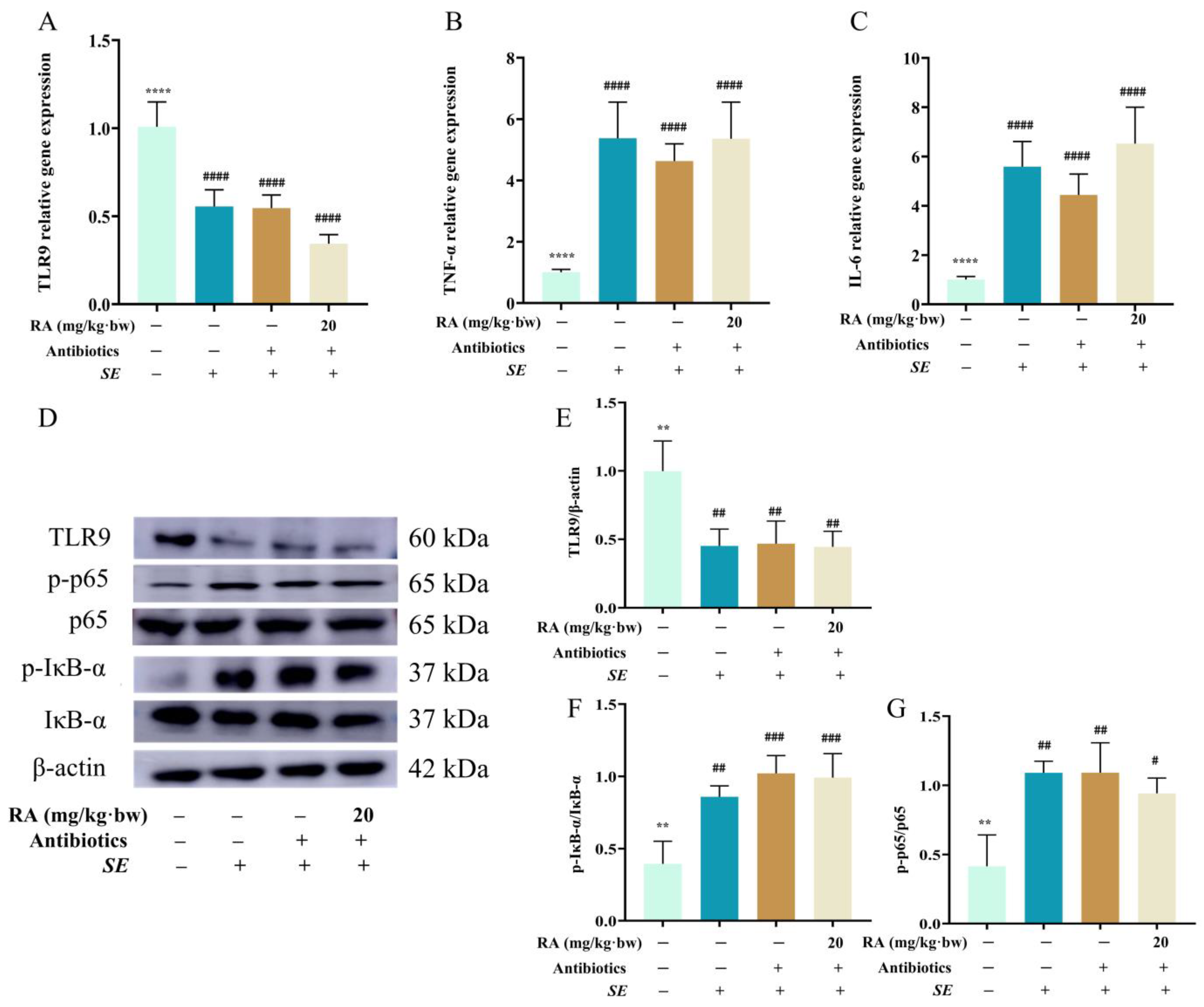 Antioxidants 13 01265 g008
