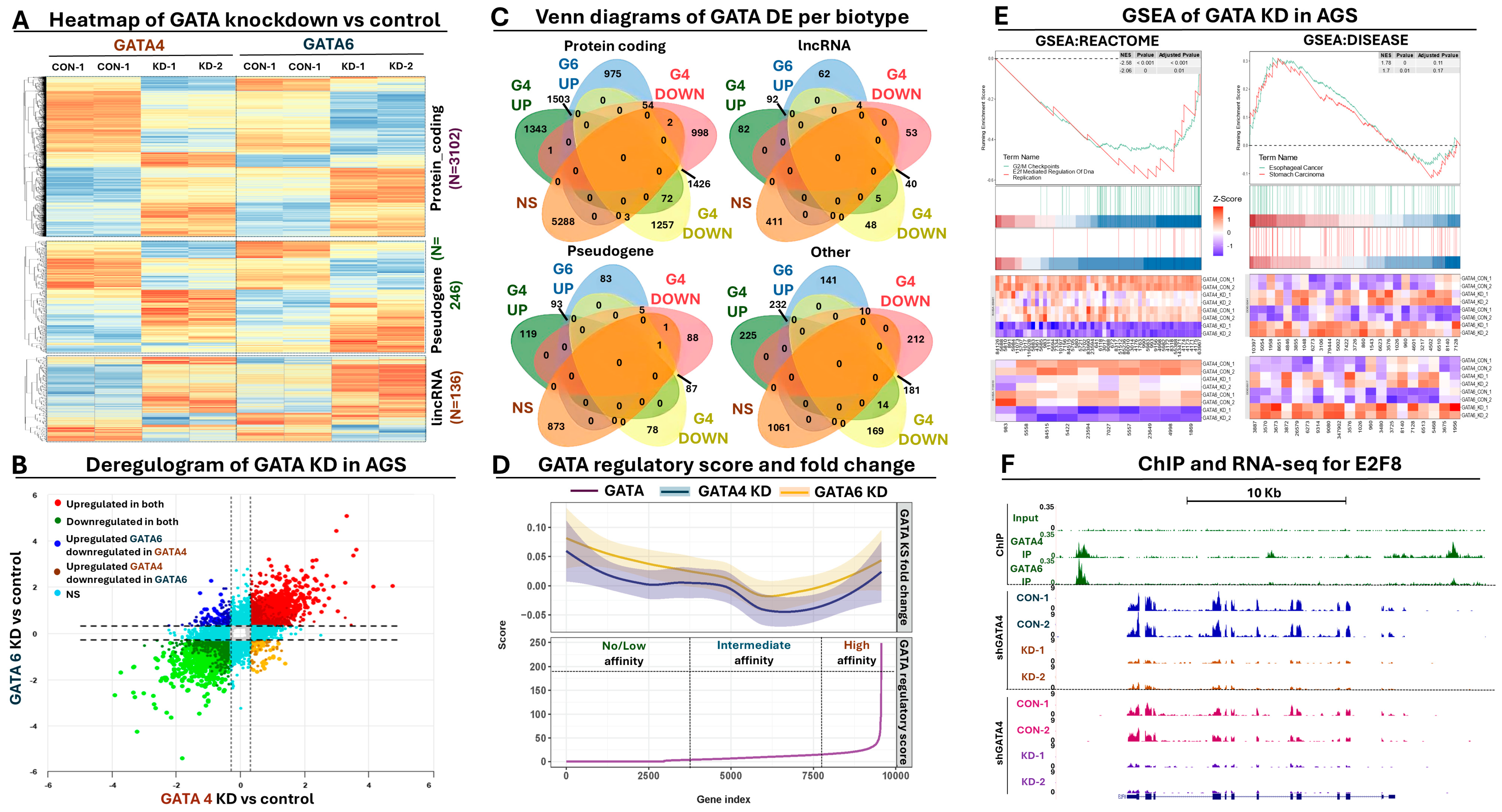 Antioxidants 13 01267 g003