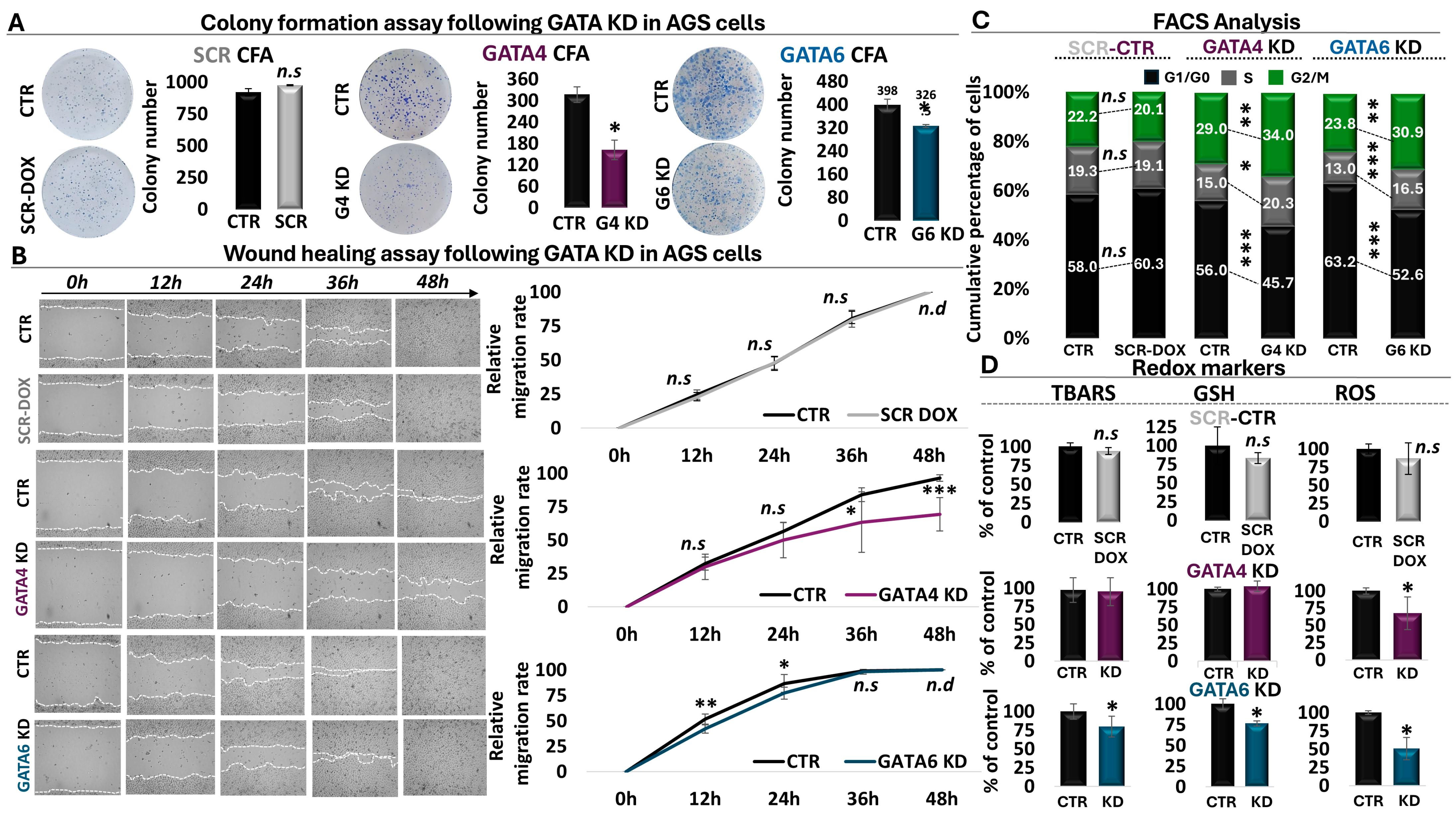 Antioxidants 13 01267 g004