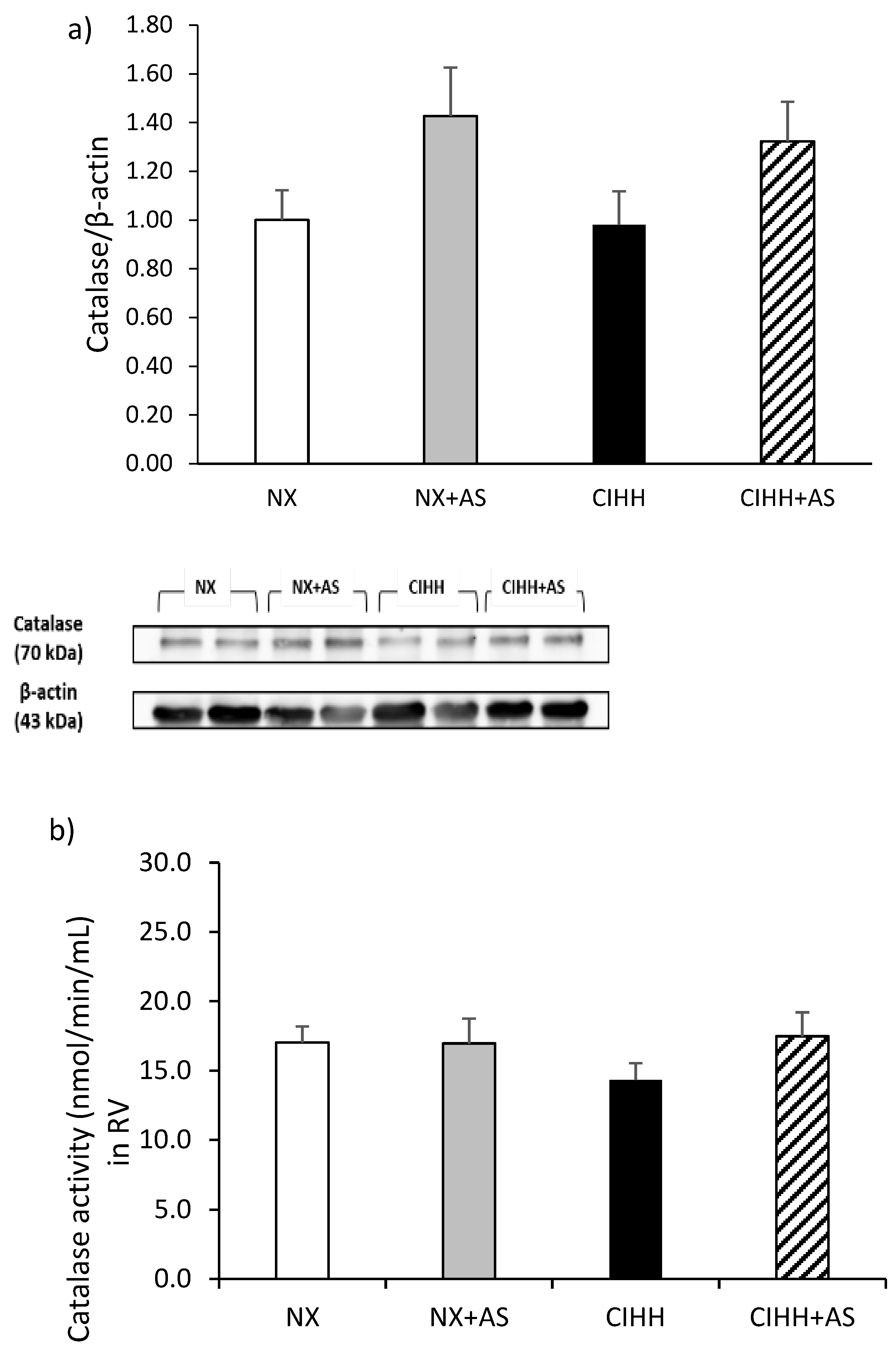 Antioxidants 13 01269 g005a