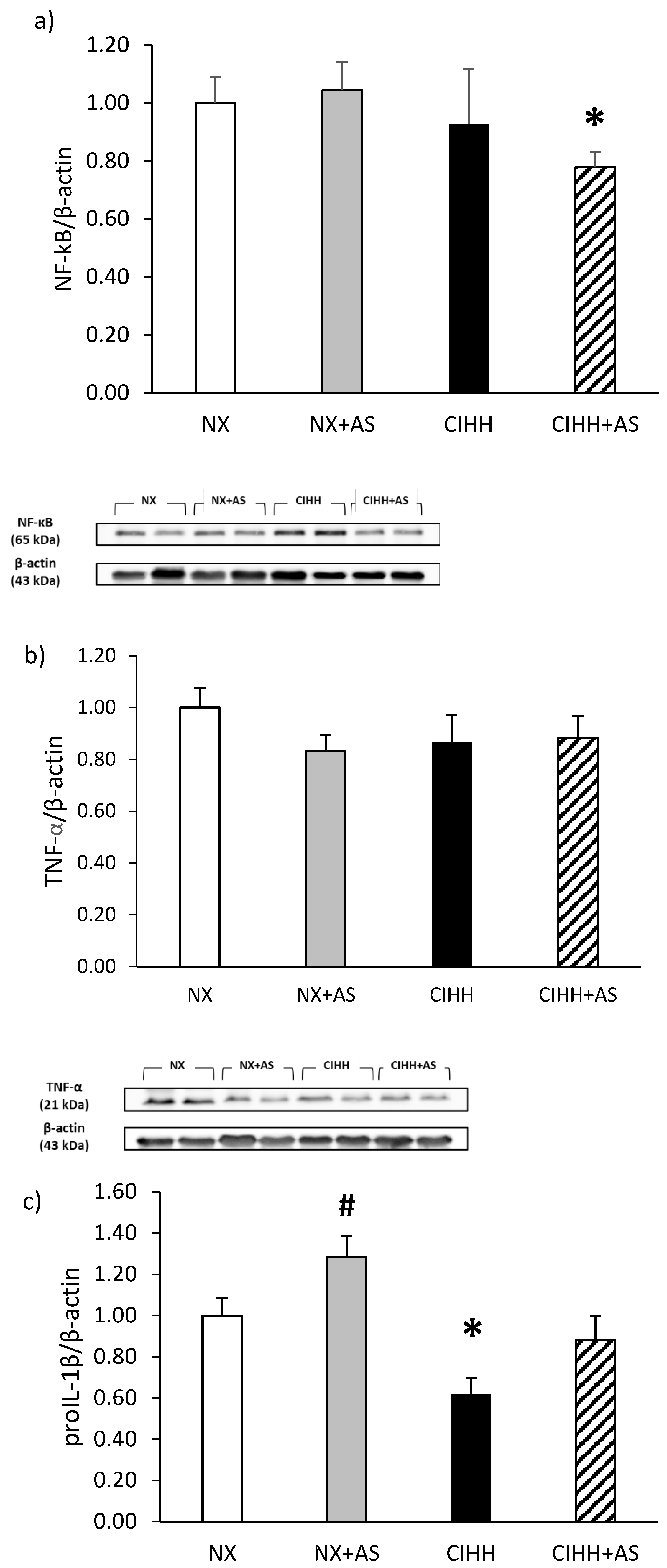 Antioxidants 13 01269 g006a