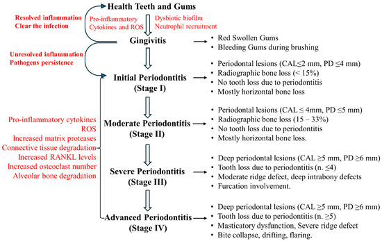 健康・医学 Periodontics Amazon.co.jp: Periodontics (2) (Dental clinical series basic