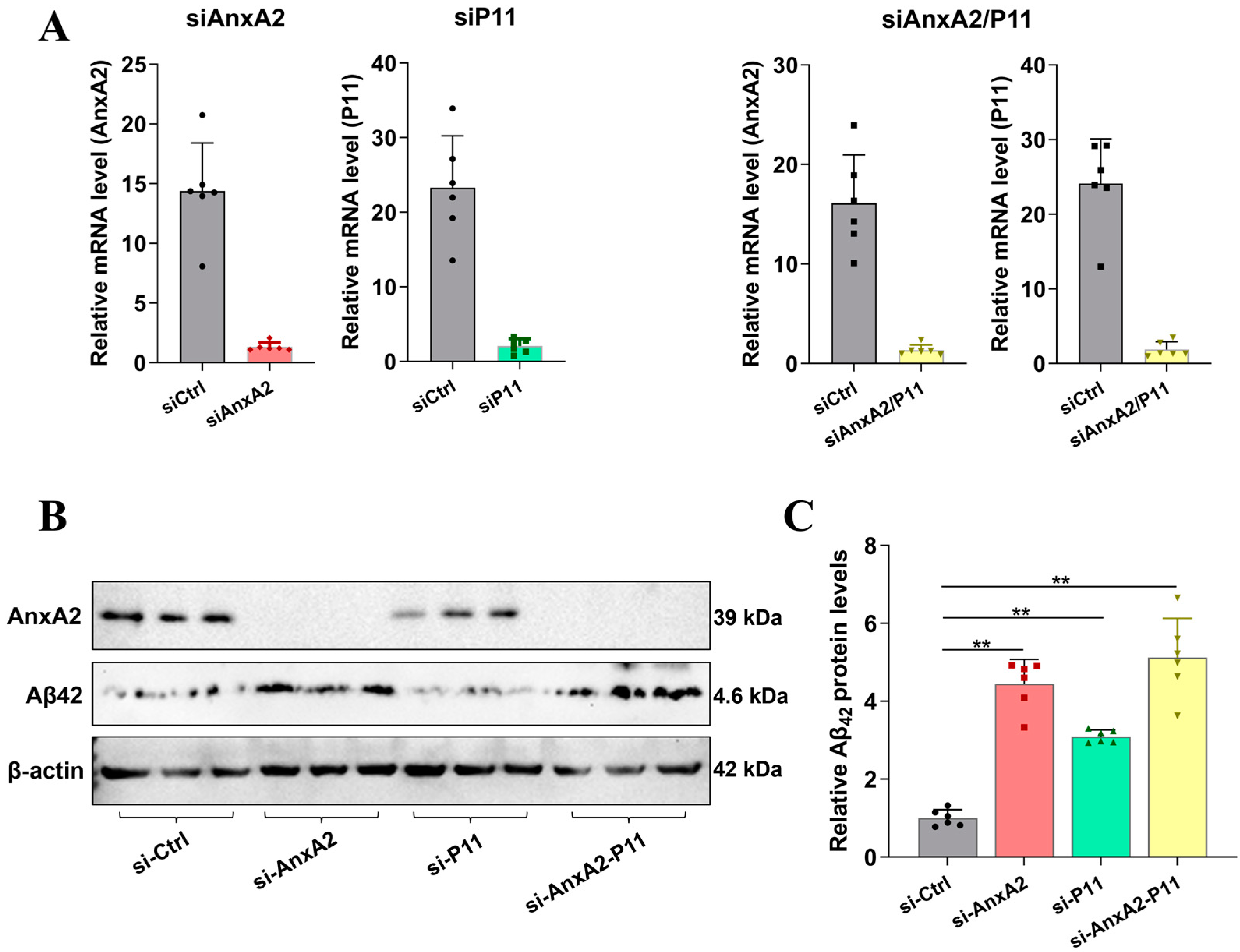 Antioxidants 13 01274 g002