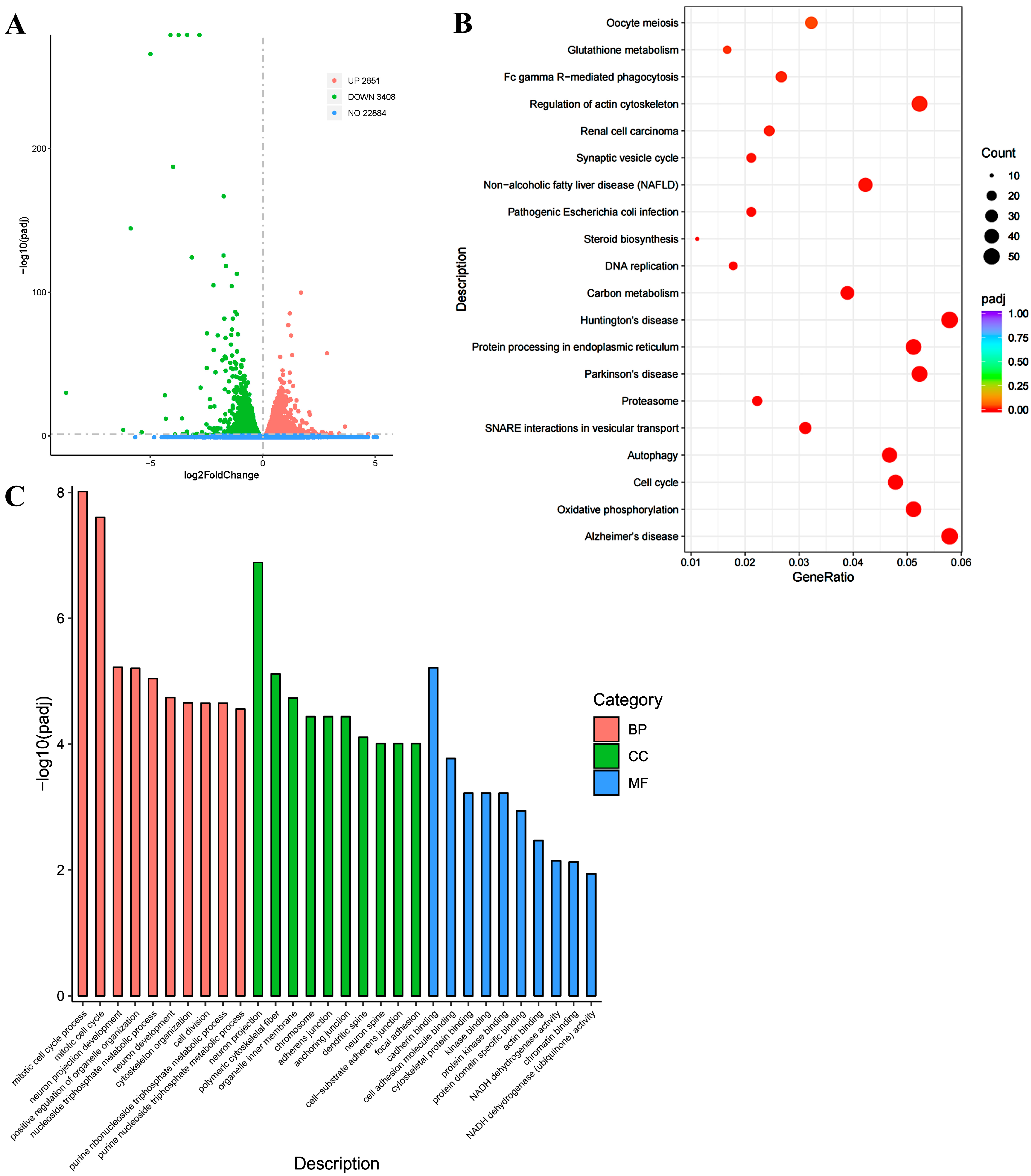 Antioxidants 13 01274 g003