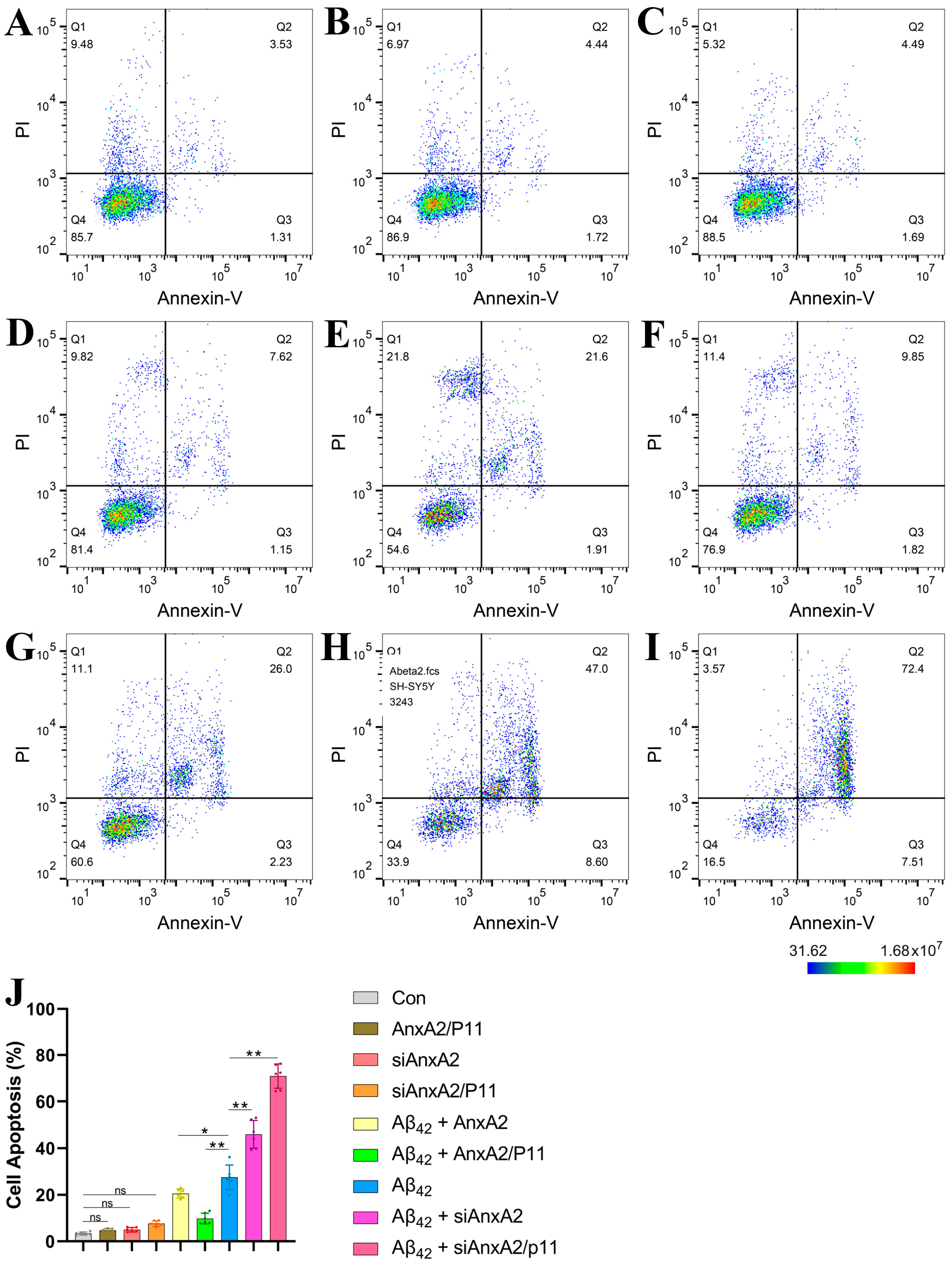 Antioxidants 13 01274 g006