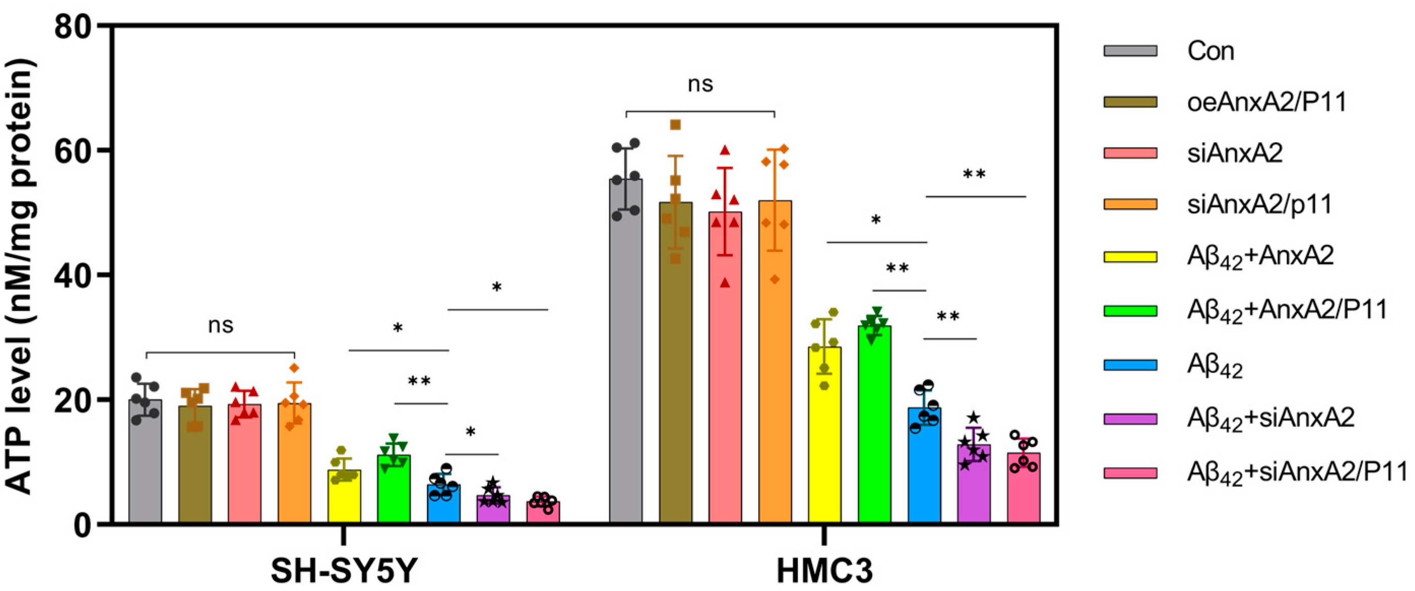 Antioxidants 13 01274 g009