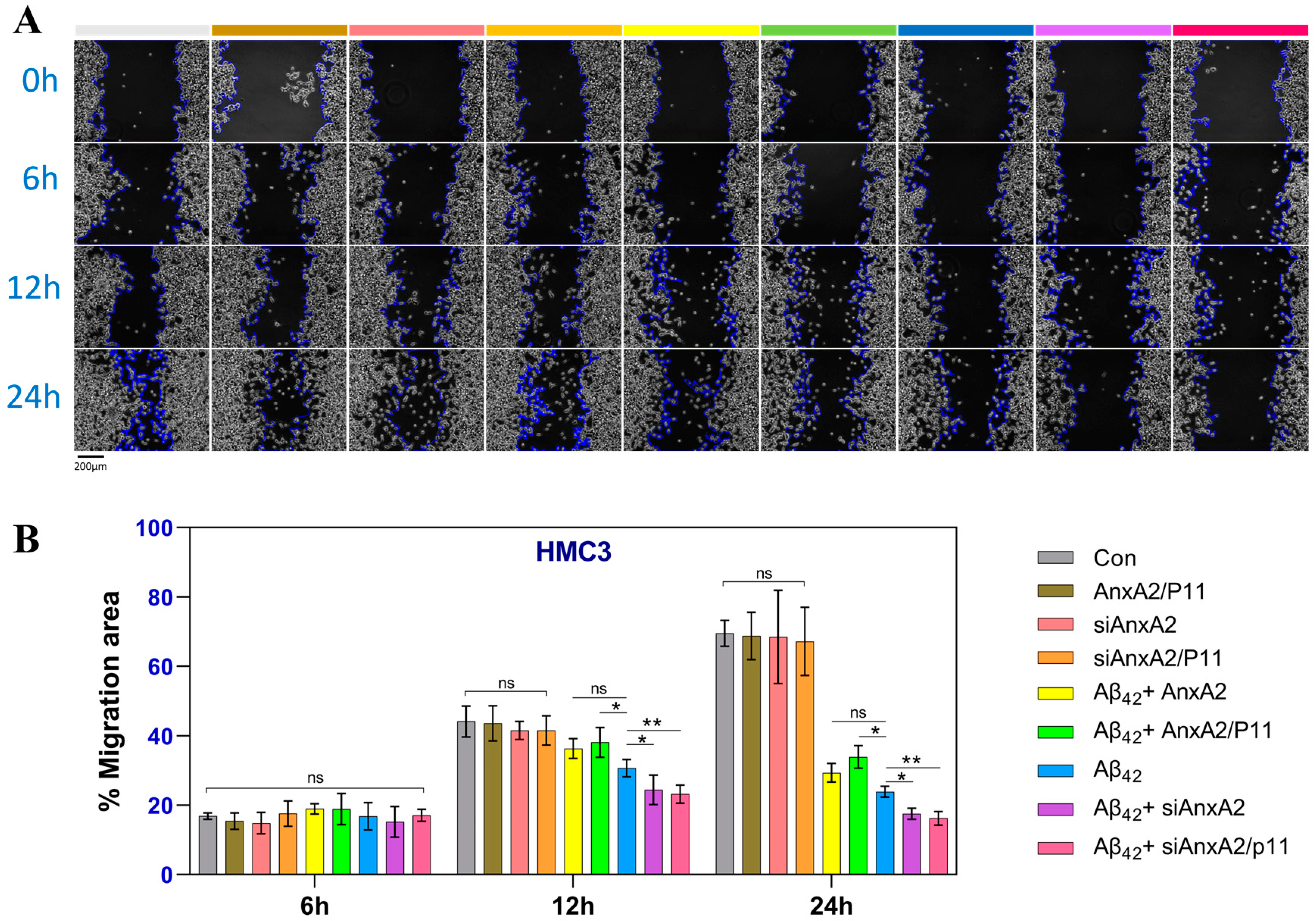 Antioxidants 13 01274 g010