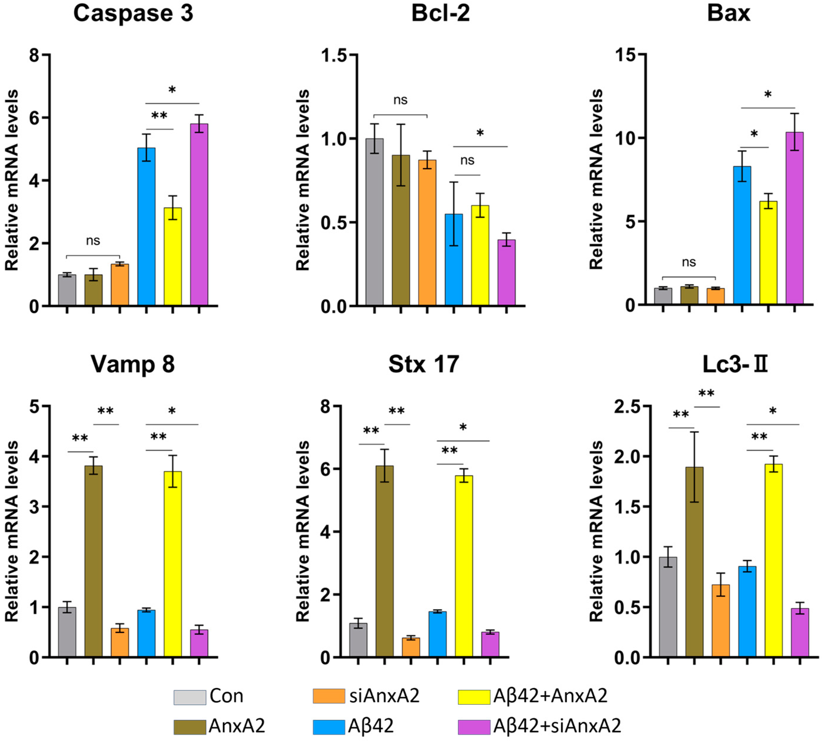 Antioxidants 13 01274 g012