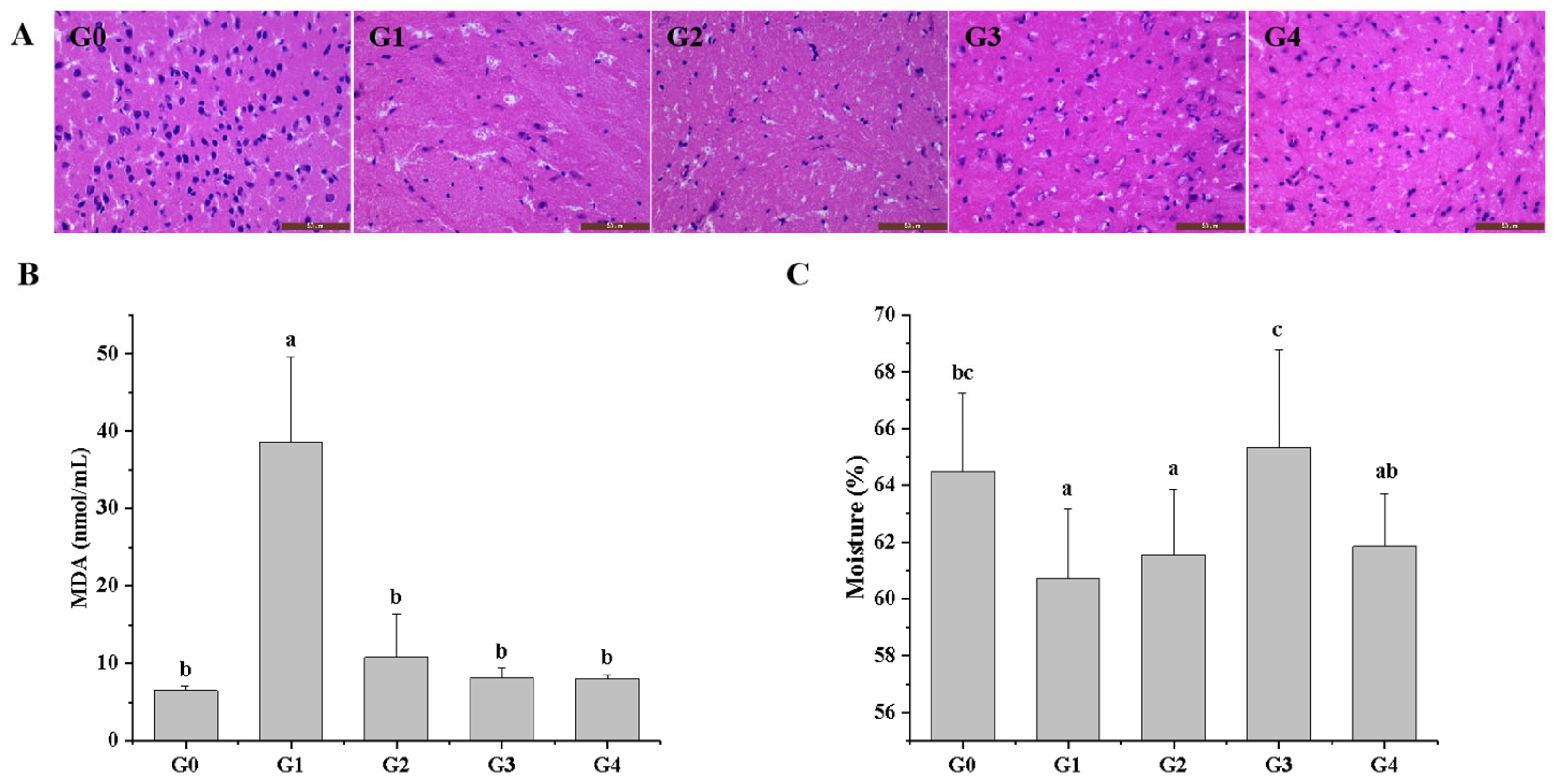 Antioxidants 13 01275 g002