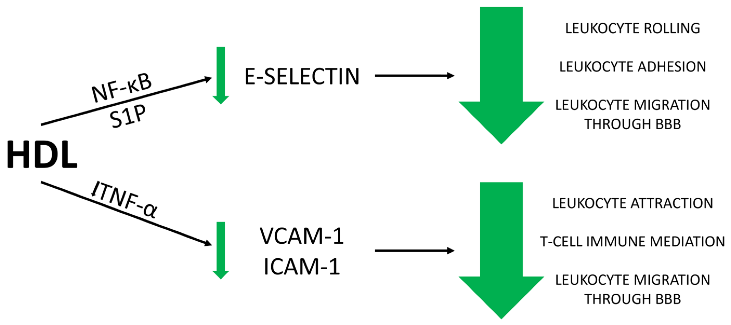 Antioxidants 13 01276 g001