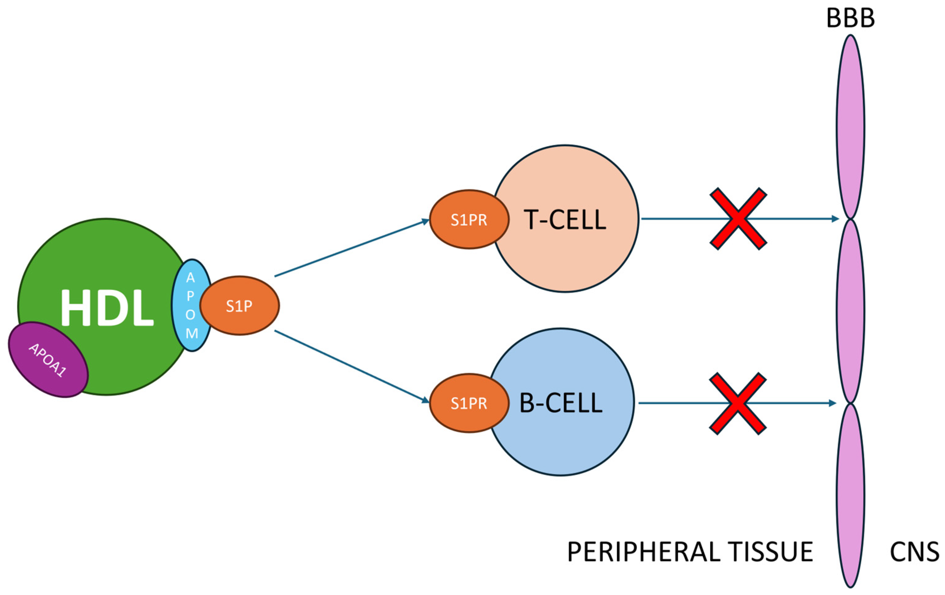 Antioxidants 13 01276 g002