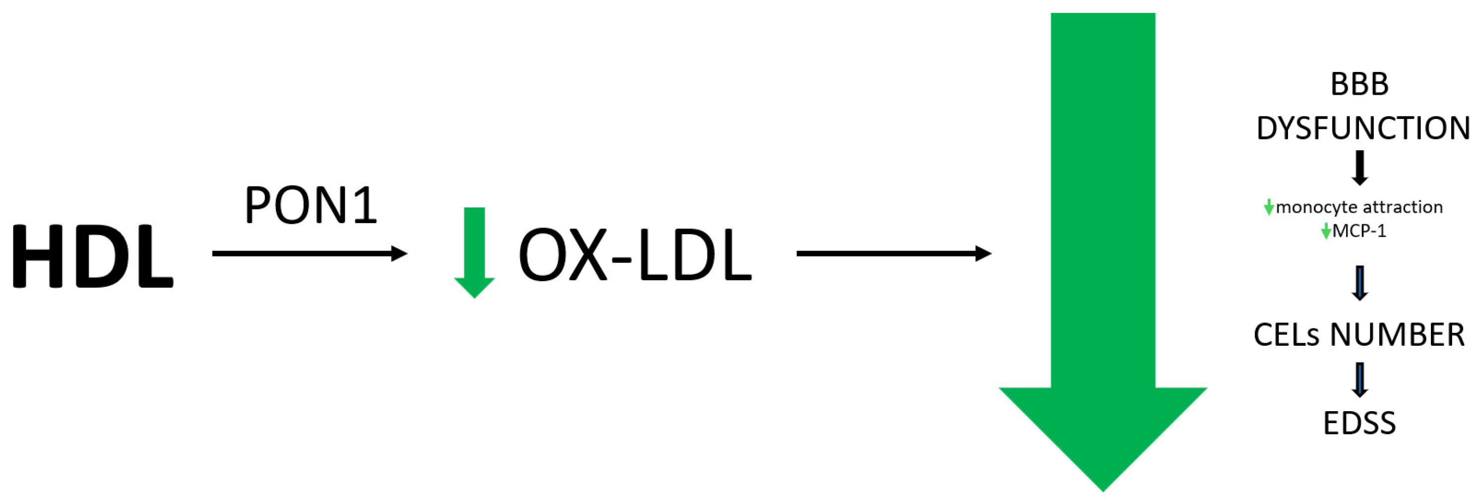 Antioxidants 13 01276 g003