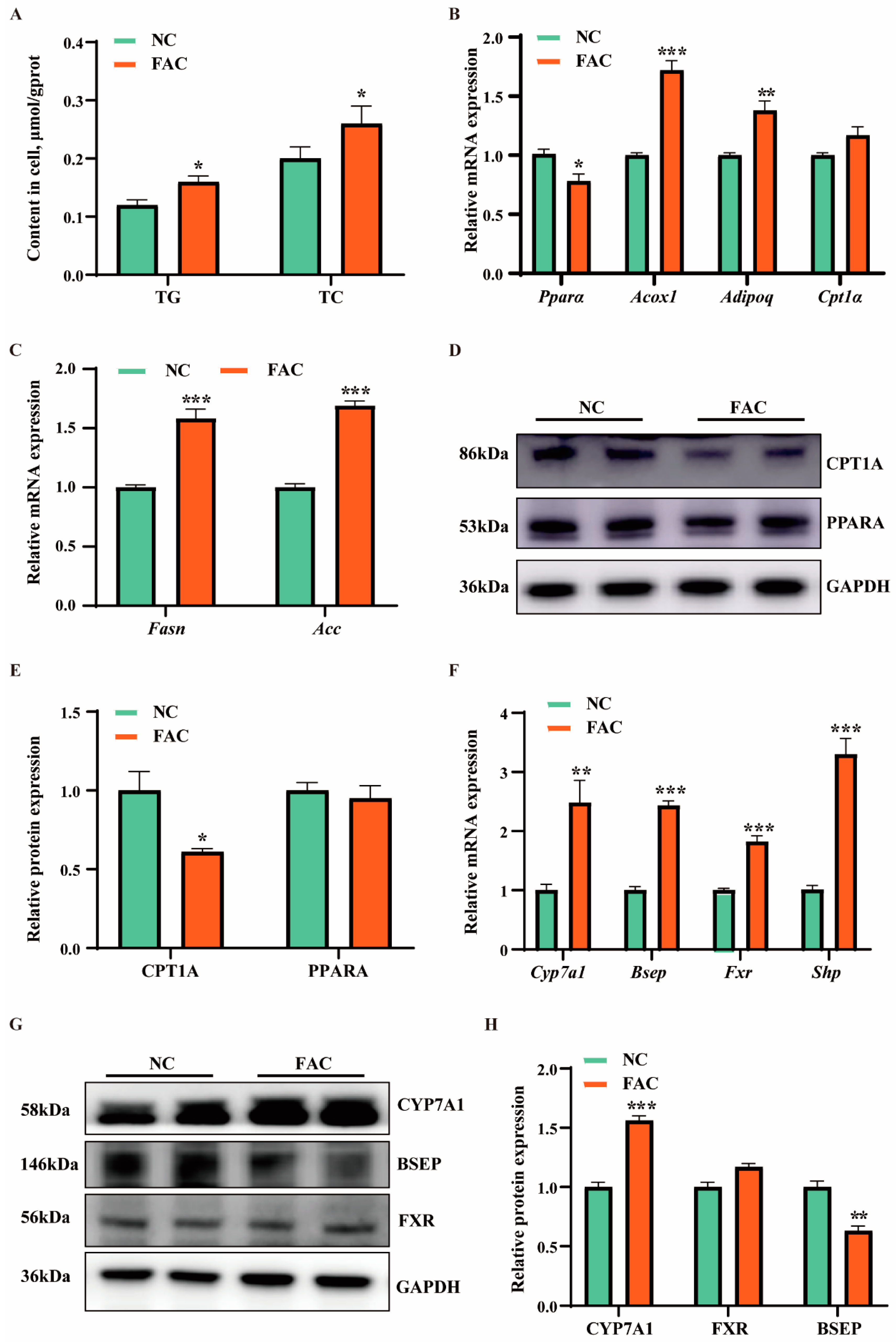 Antioxidants 13 01277 g002