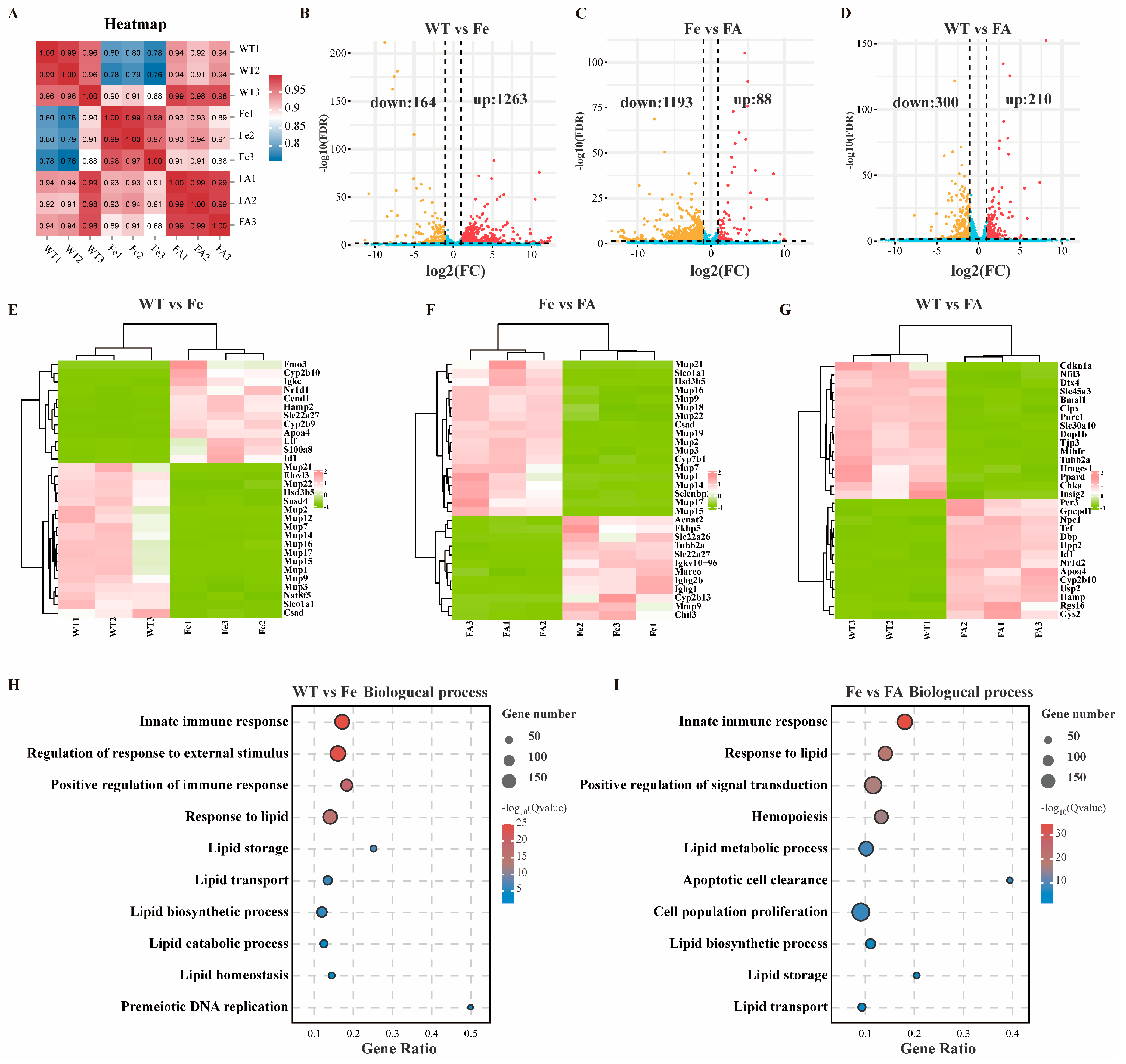 Antioxidants 13 01277 g005